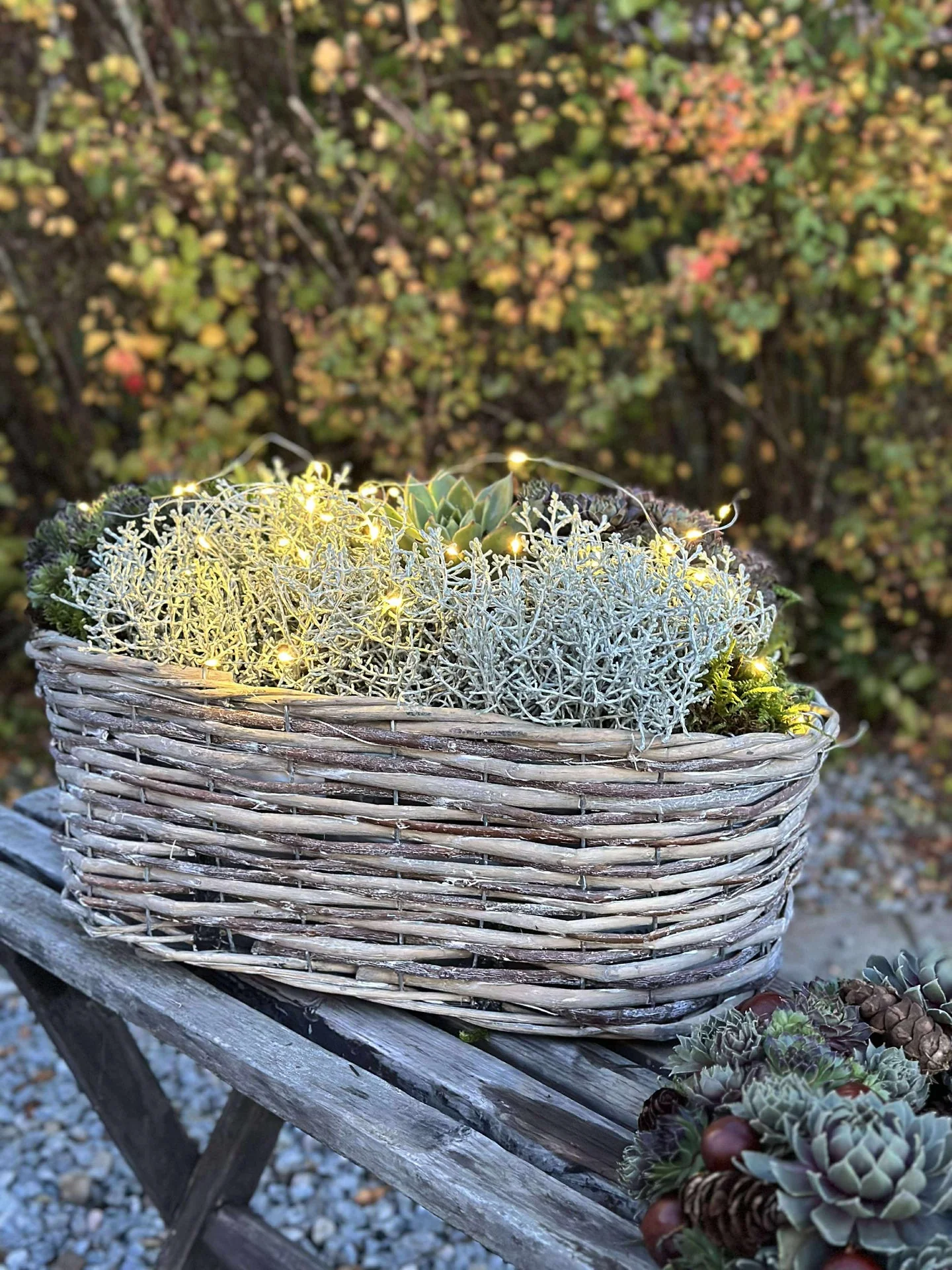Miniatyrbild 6