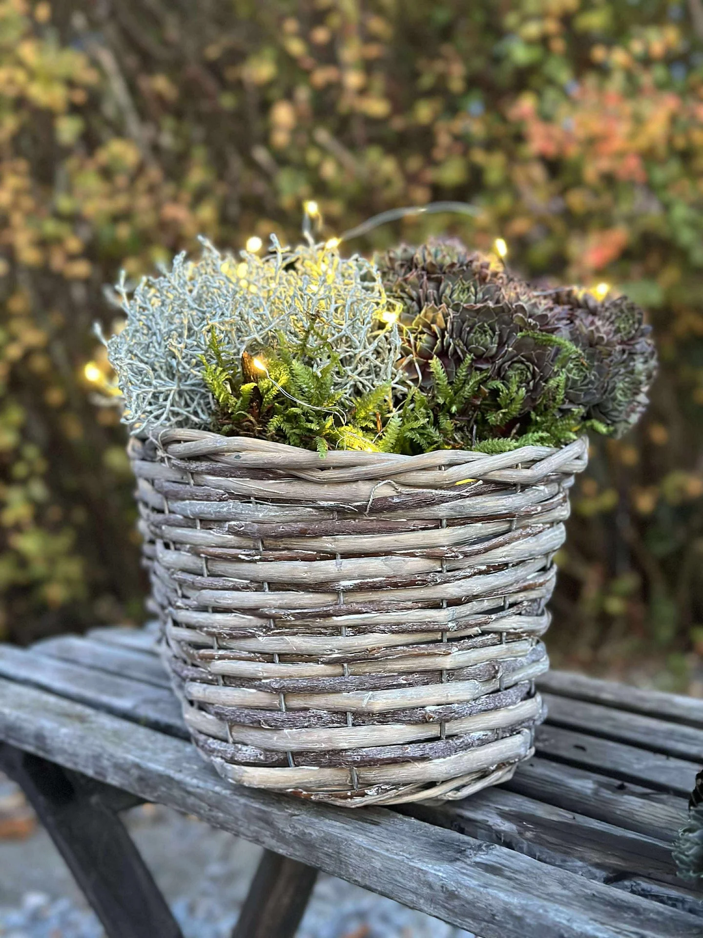 Miniatyrbild 7