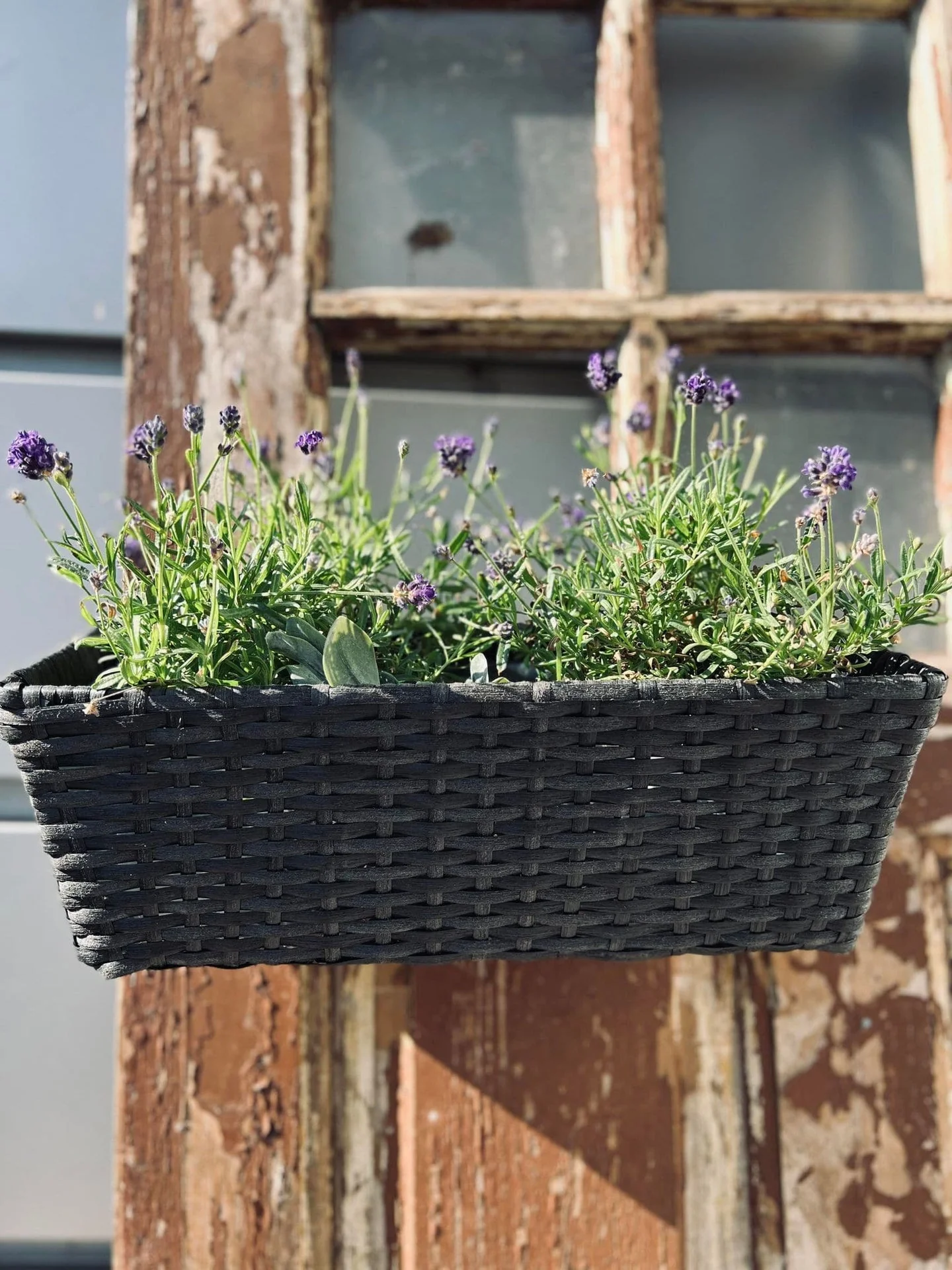 Miniatyrbild 2