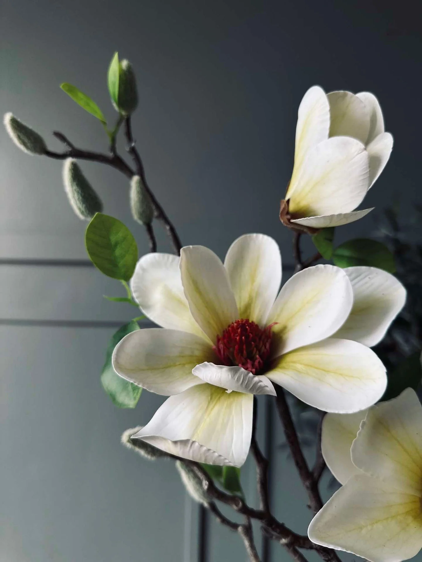 Miniatyrbild 6