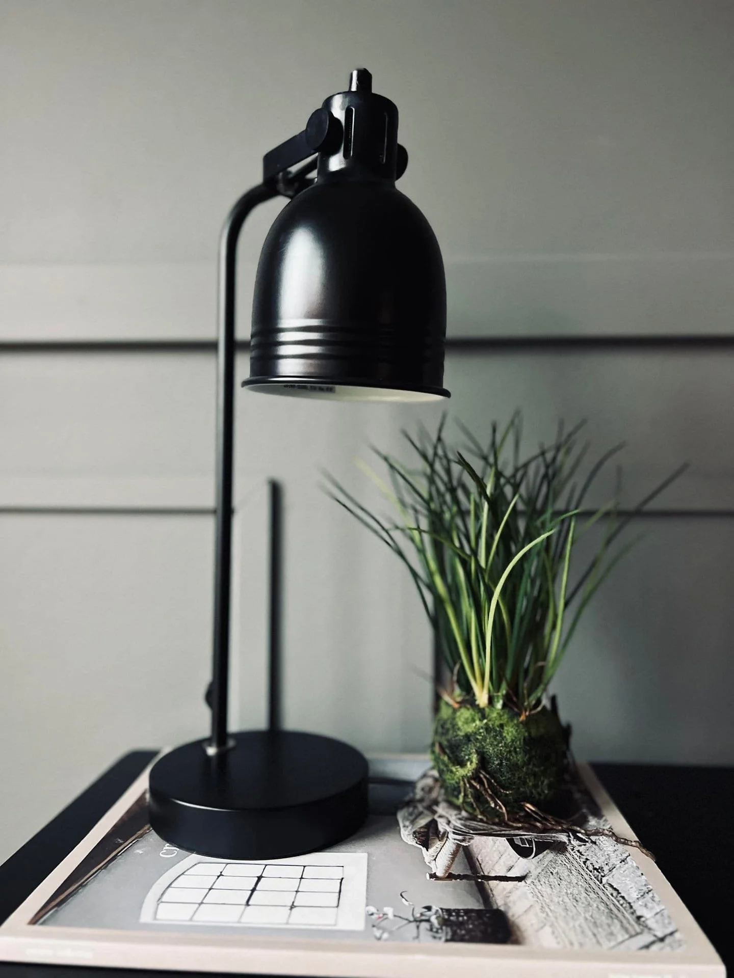 Miniatyrbild 2