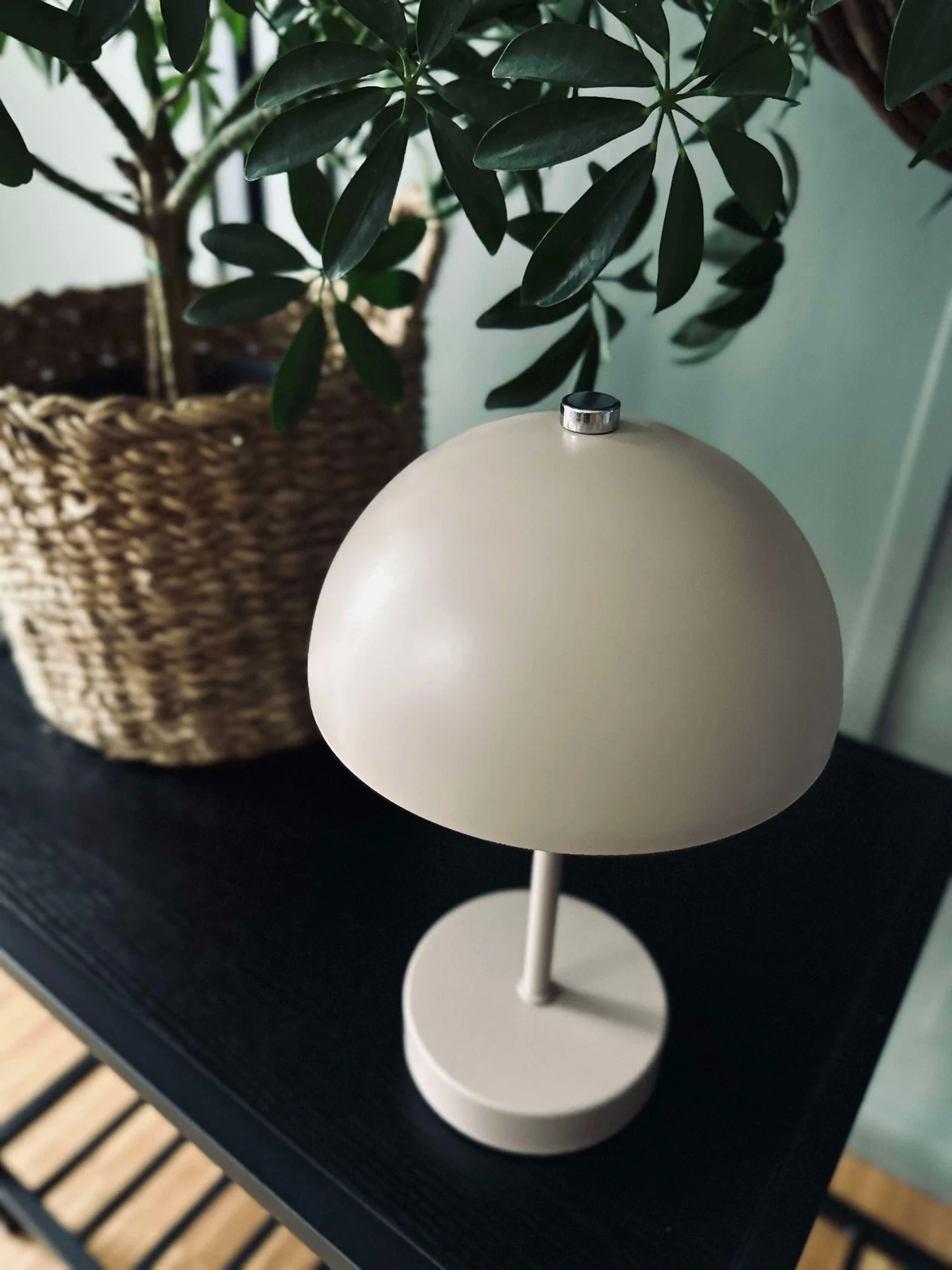 Miniatyrbild 6