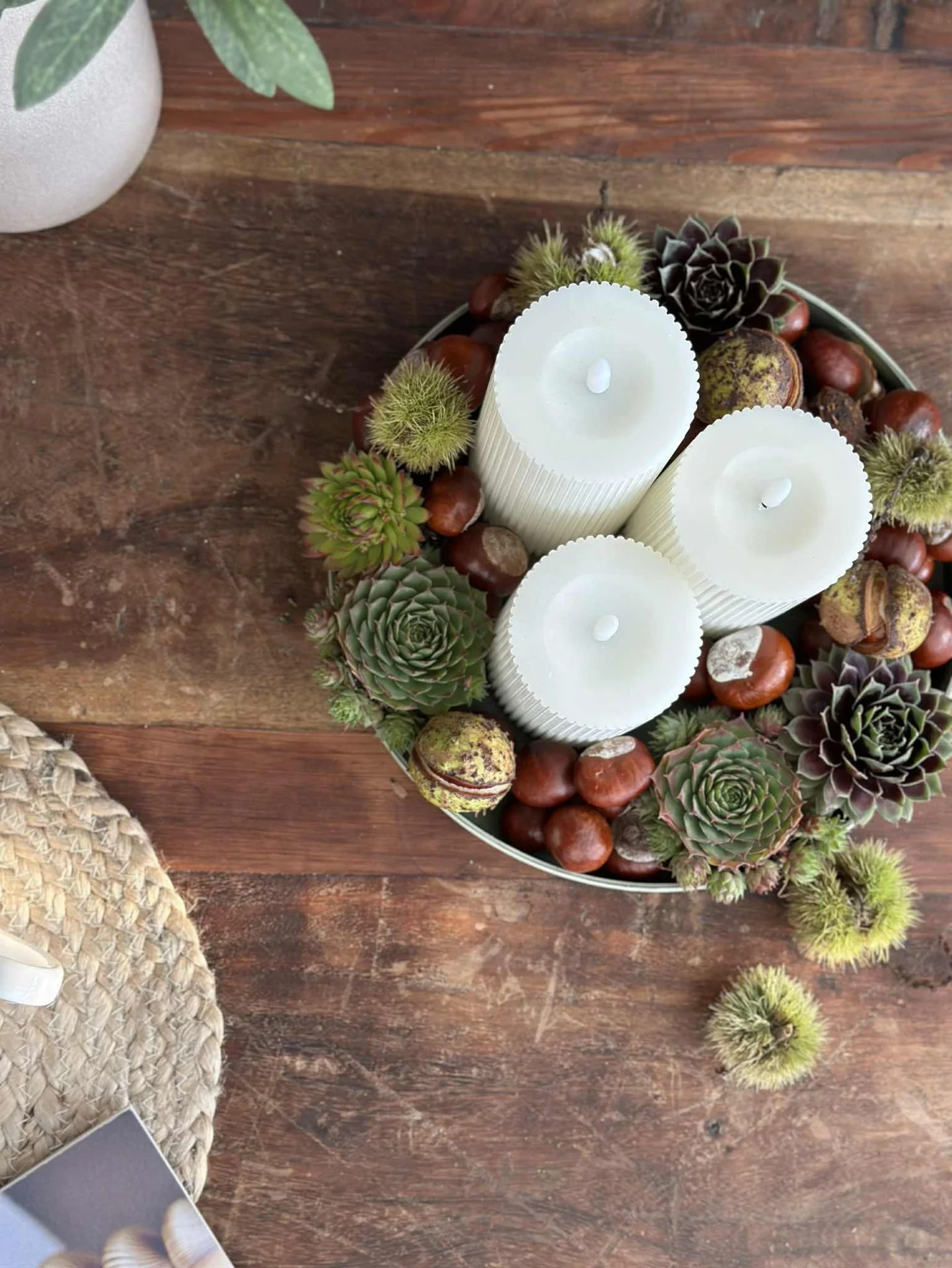 Miniatyrbild 7