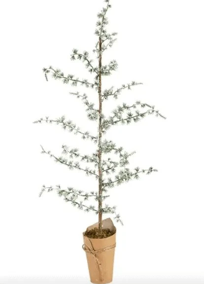 Miniatyrbild 2