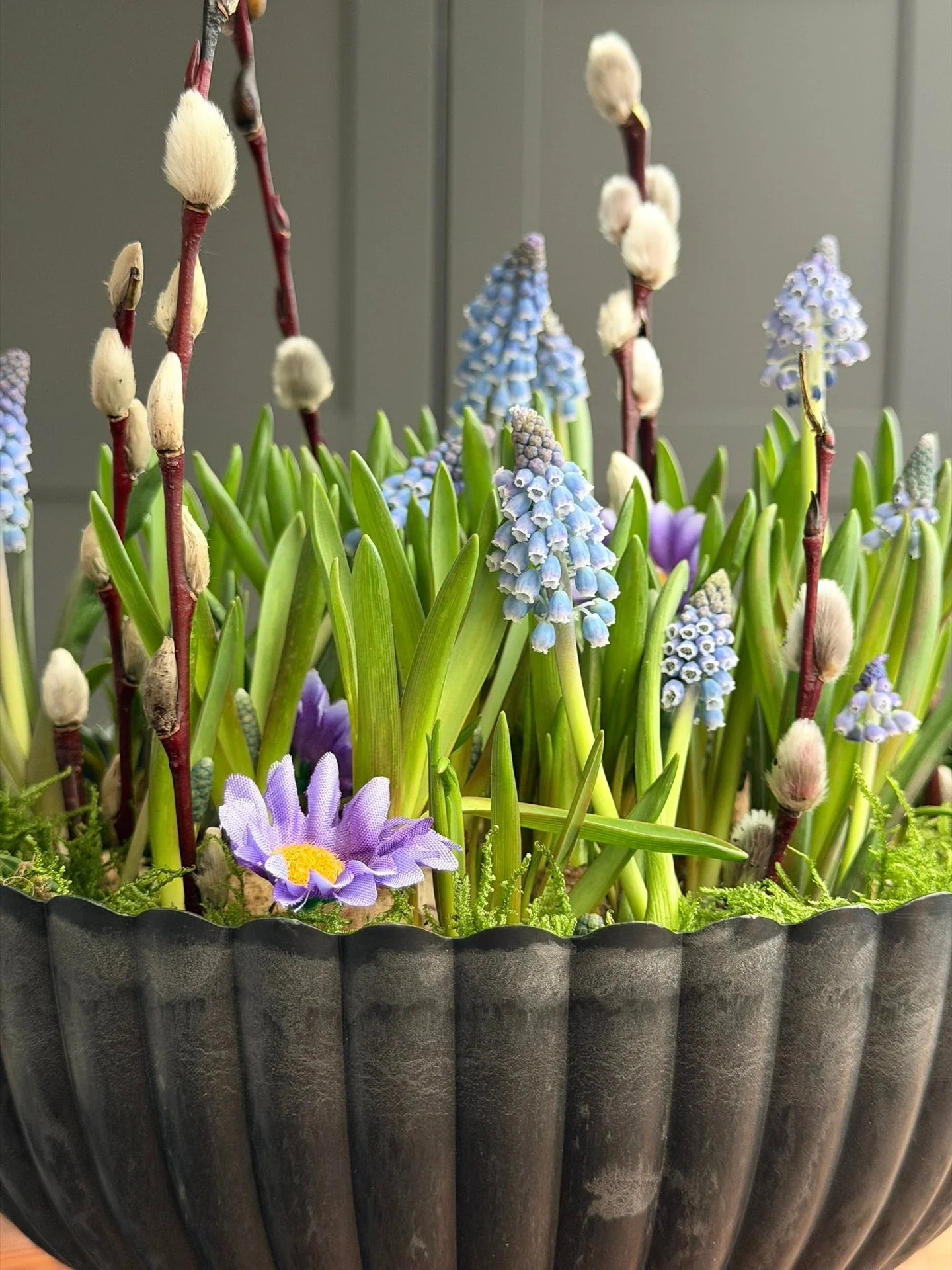 Miniatyrbild 6
