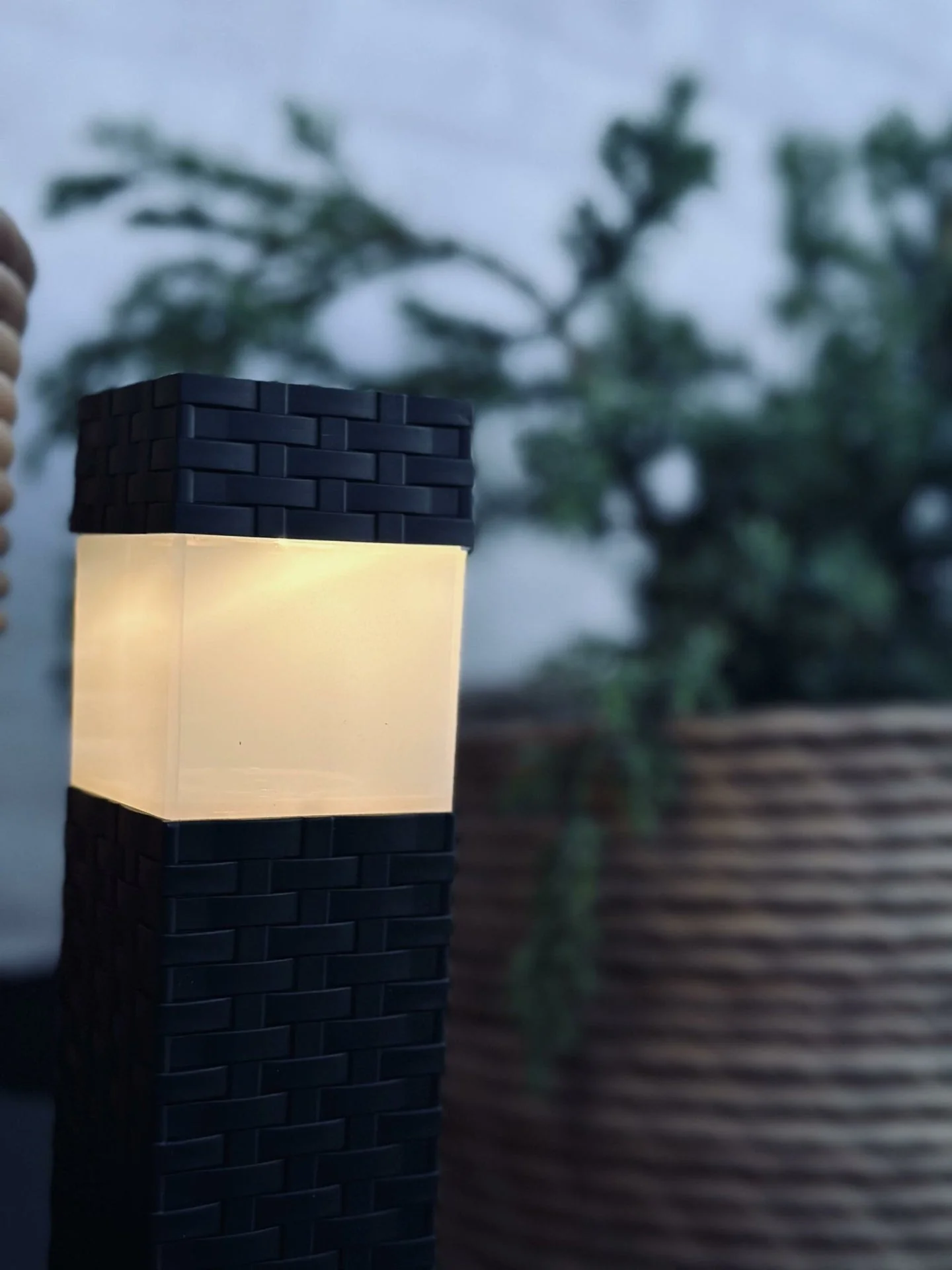 Miniatyrbild 3