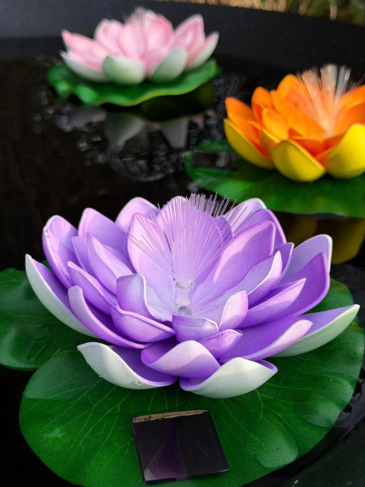 Miniatyrbild 9