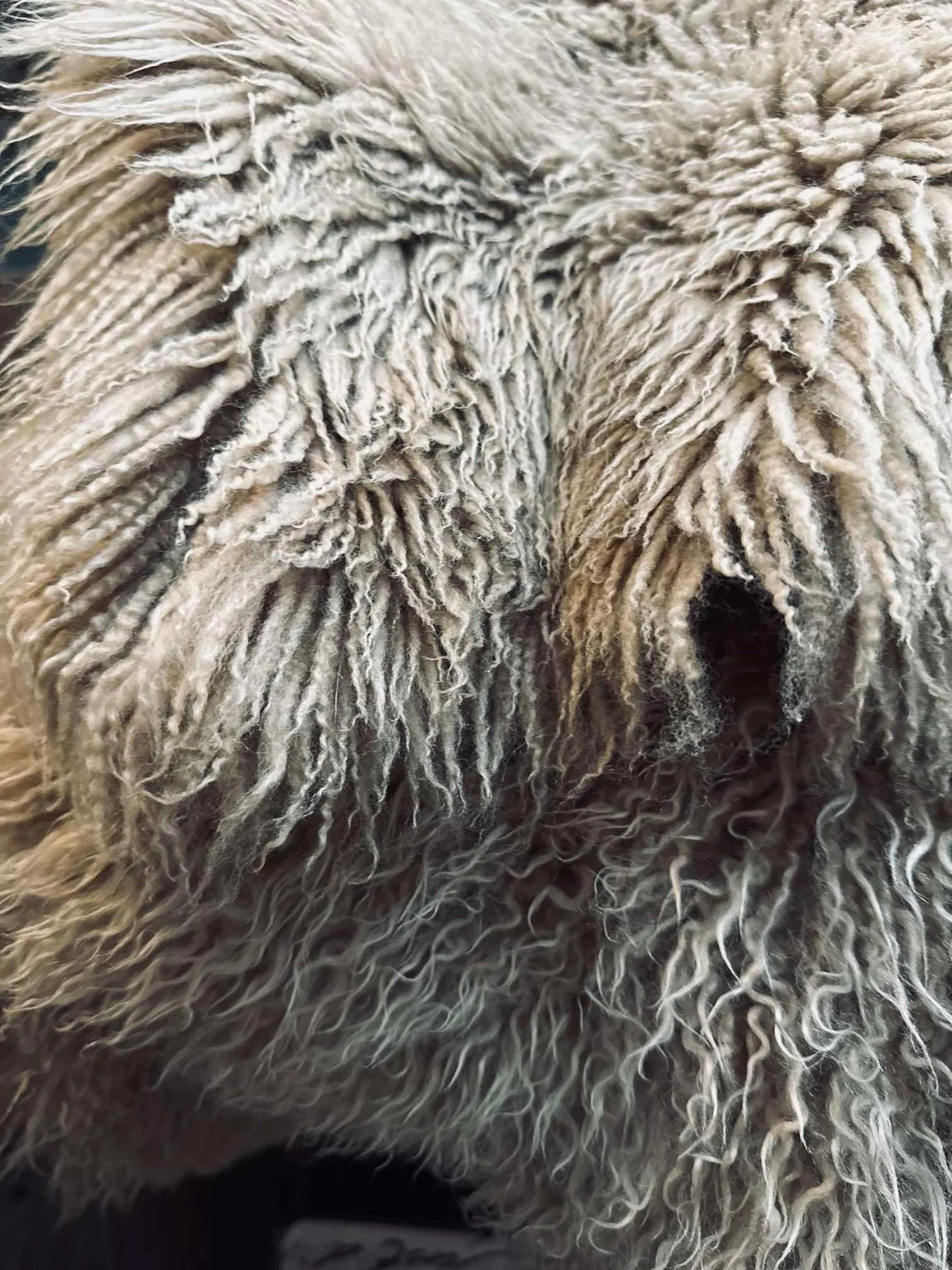 Miniatyrbild 5