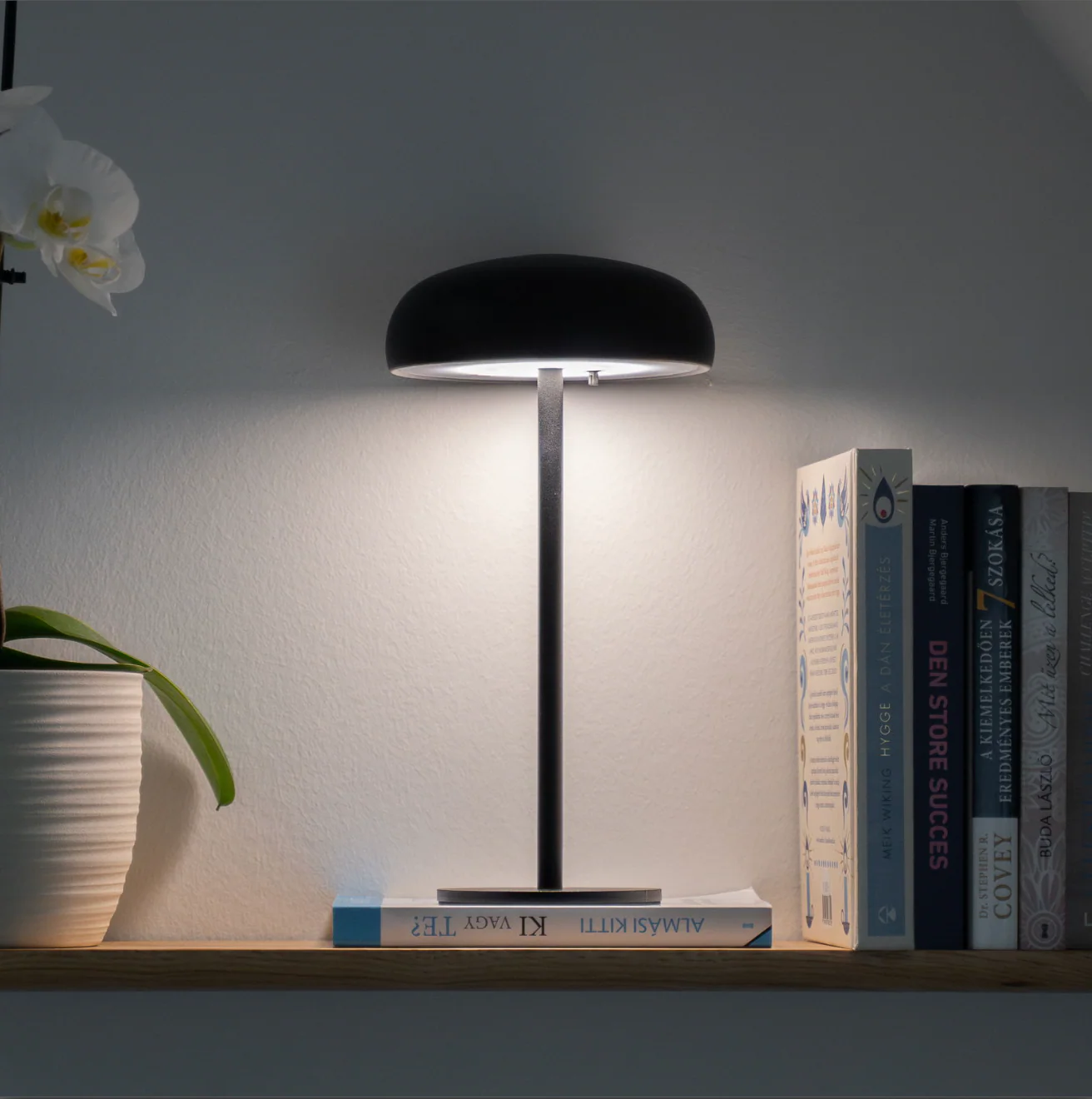 Miniatyrbild 2