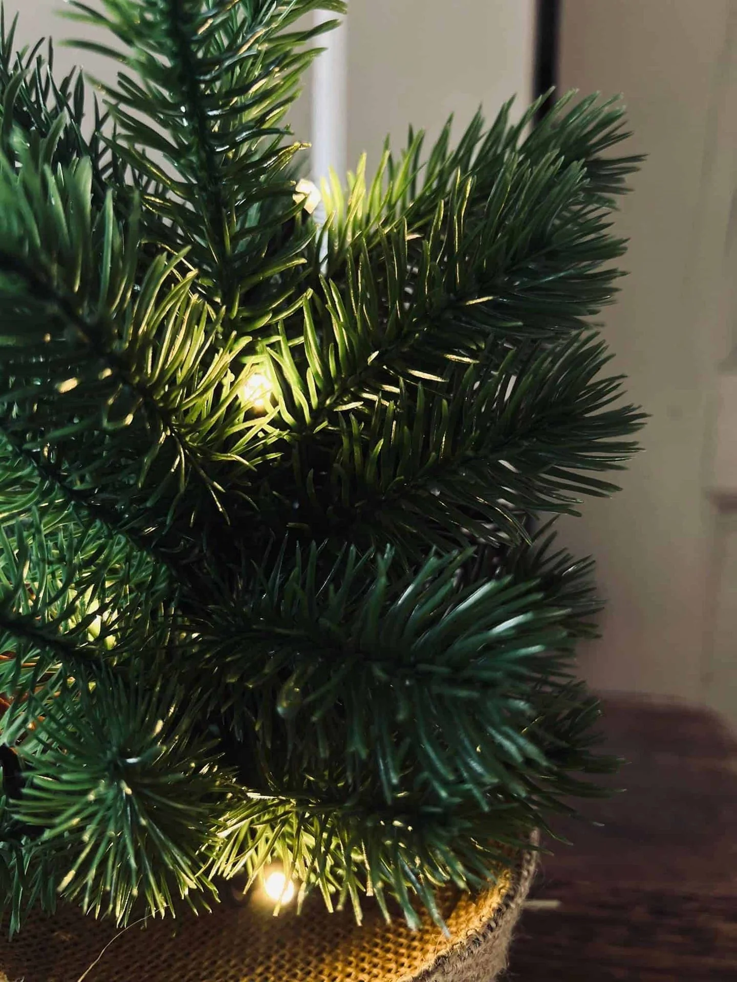 Miniatyrbild 3
