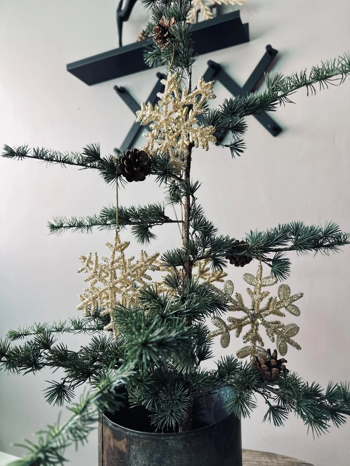 Miniatyrbild 2