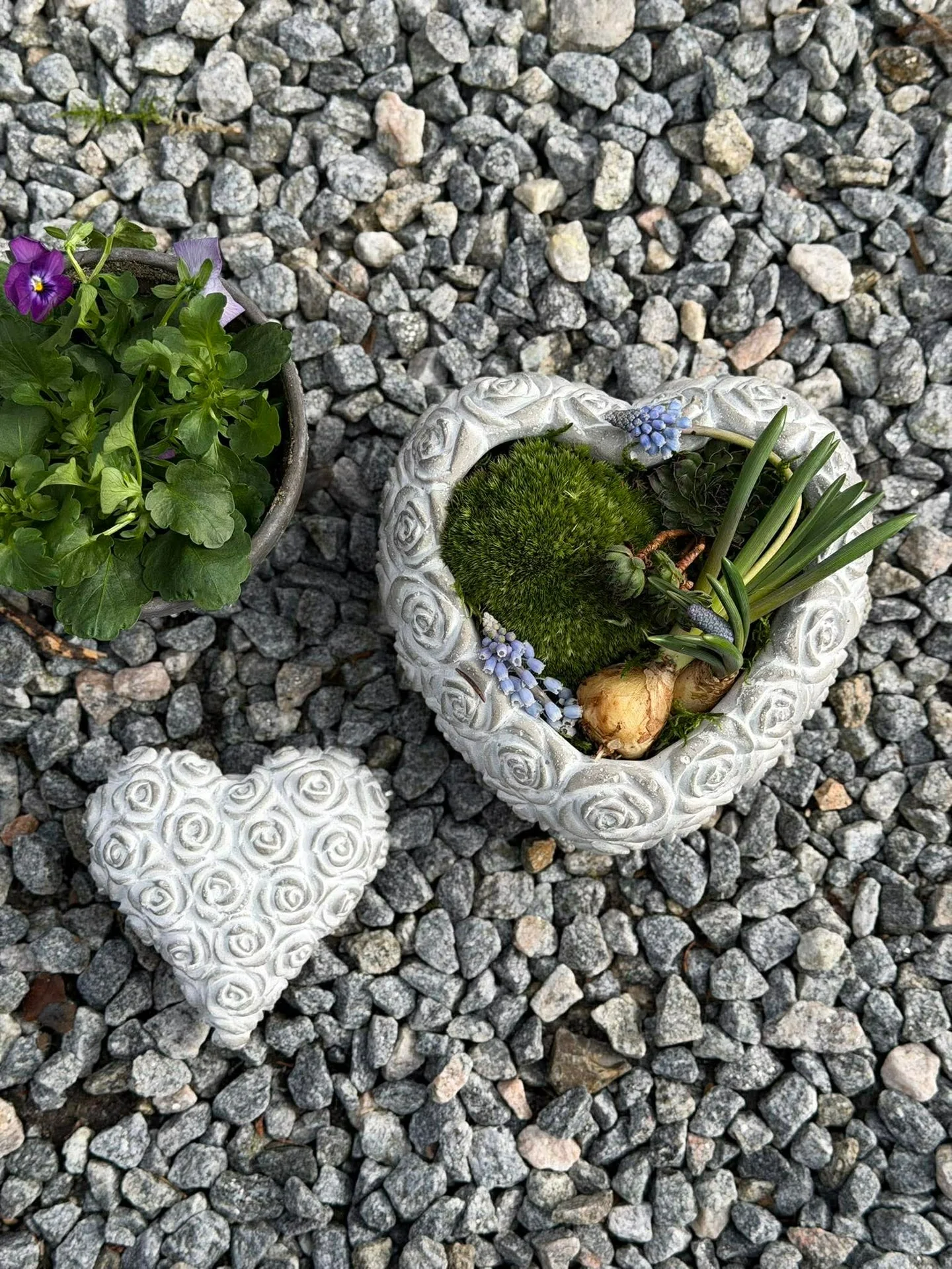 Miniatyrbild 3
