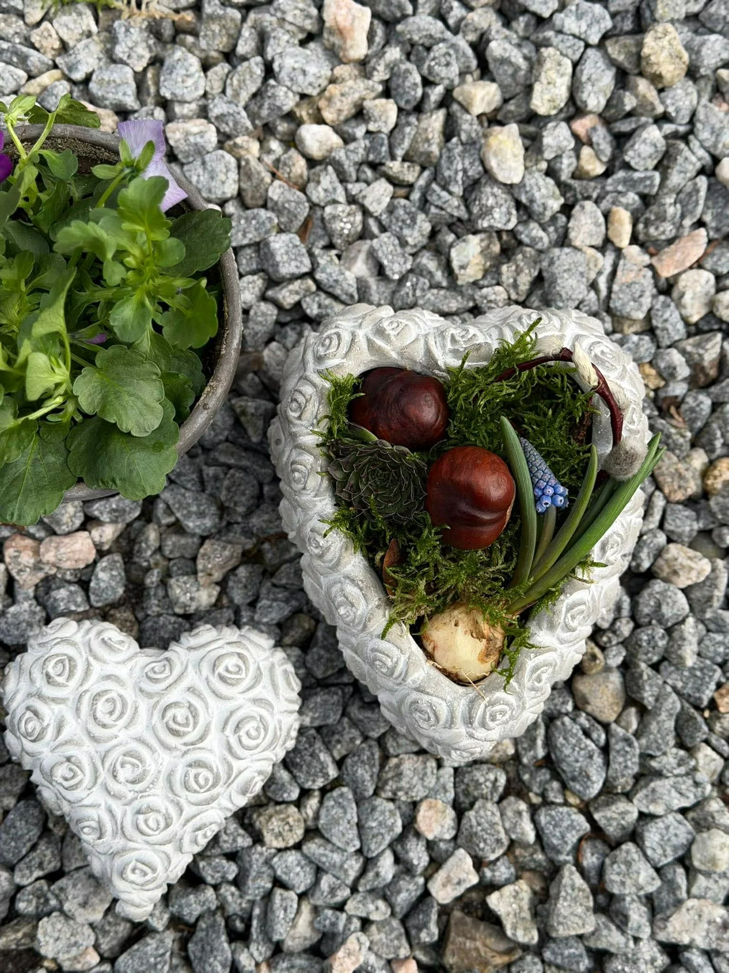 Miniatyrbild 5