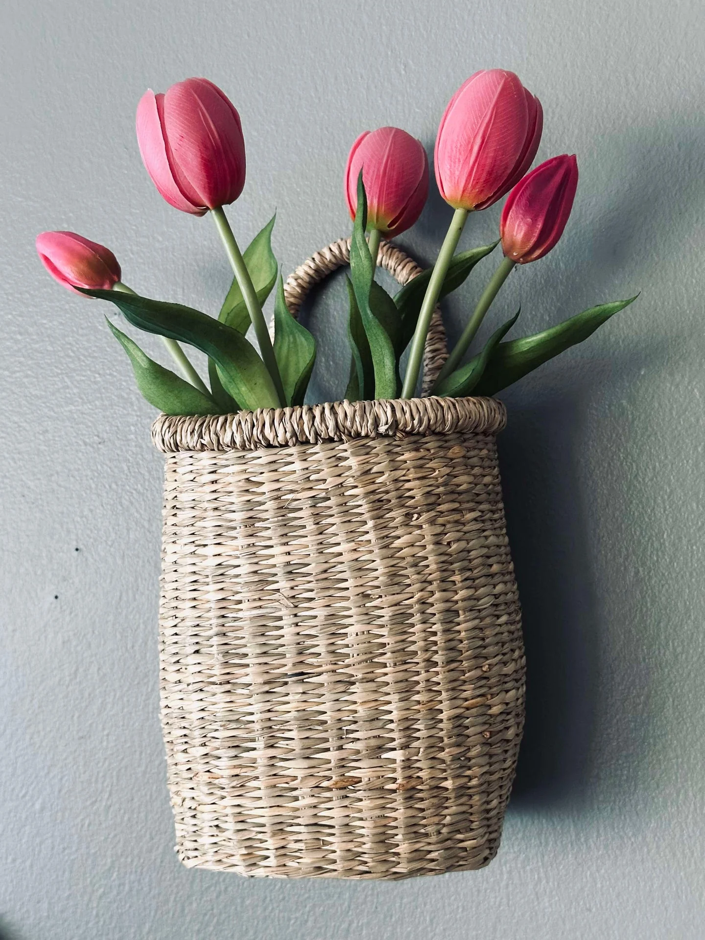 Miniatyrbild 5