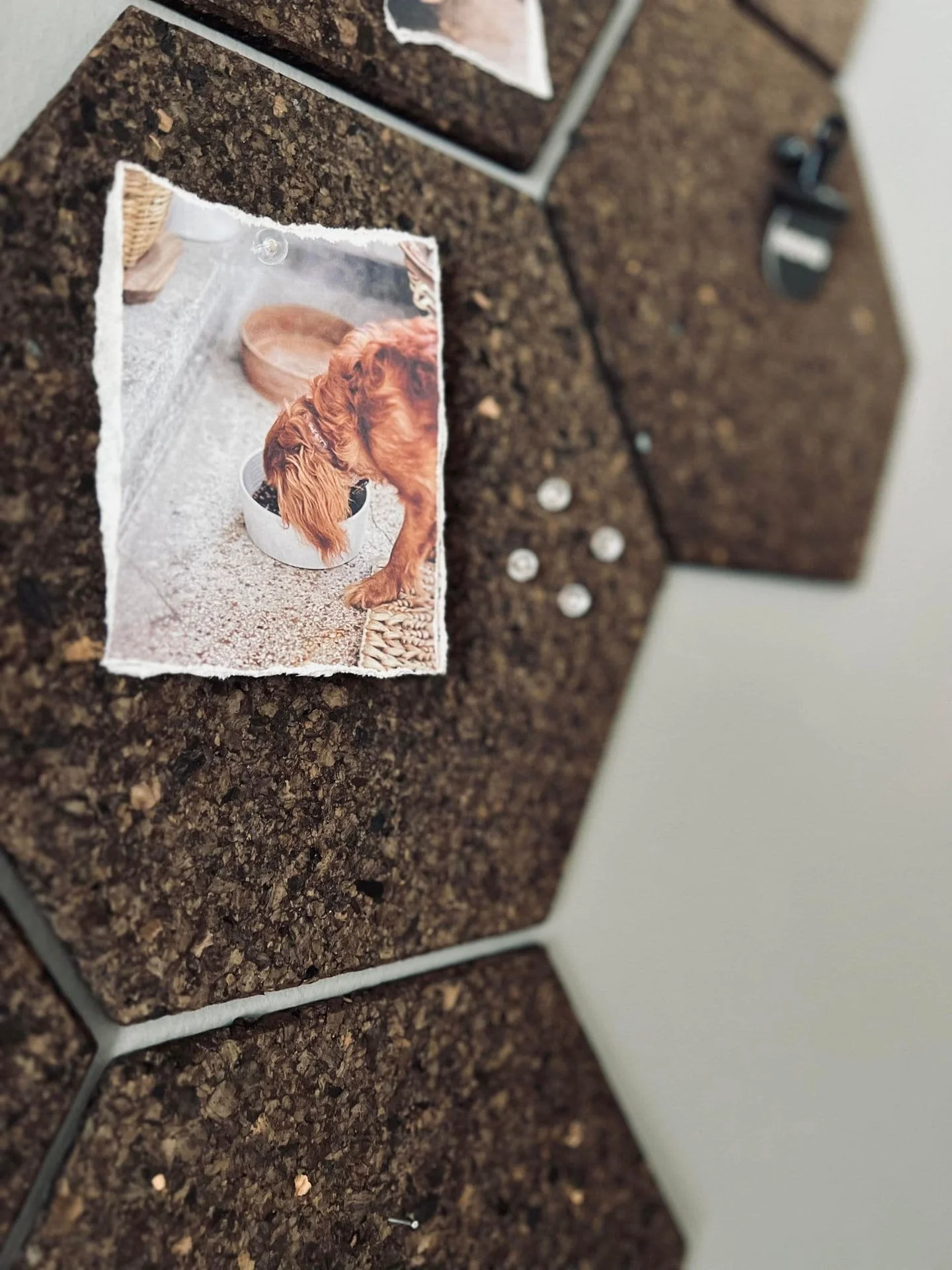Miniatyrbild 5