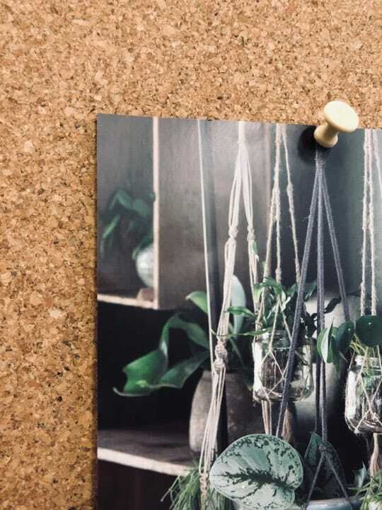 Miniatyrbild 2