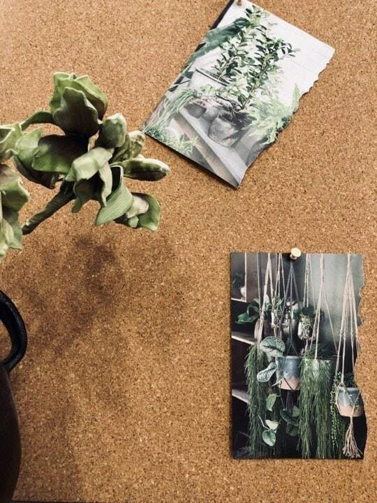 Miniatyrbild 3