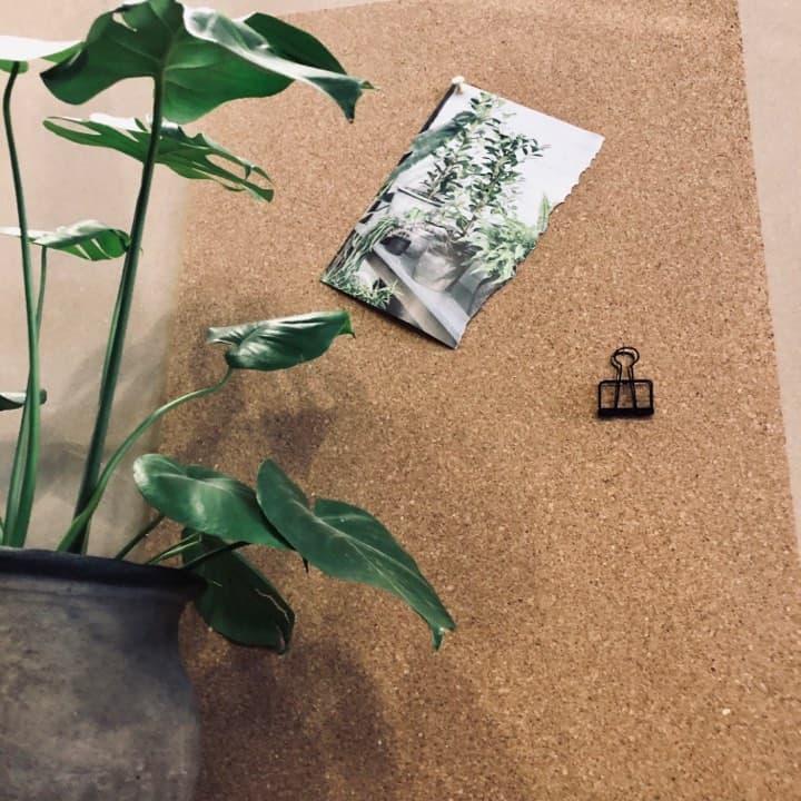 Miniatyrbild 2
