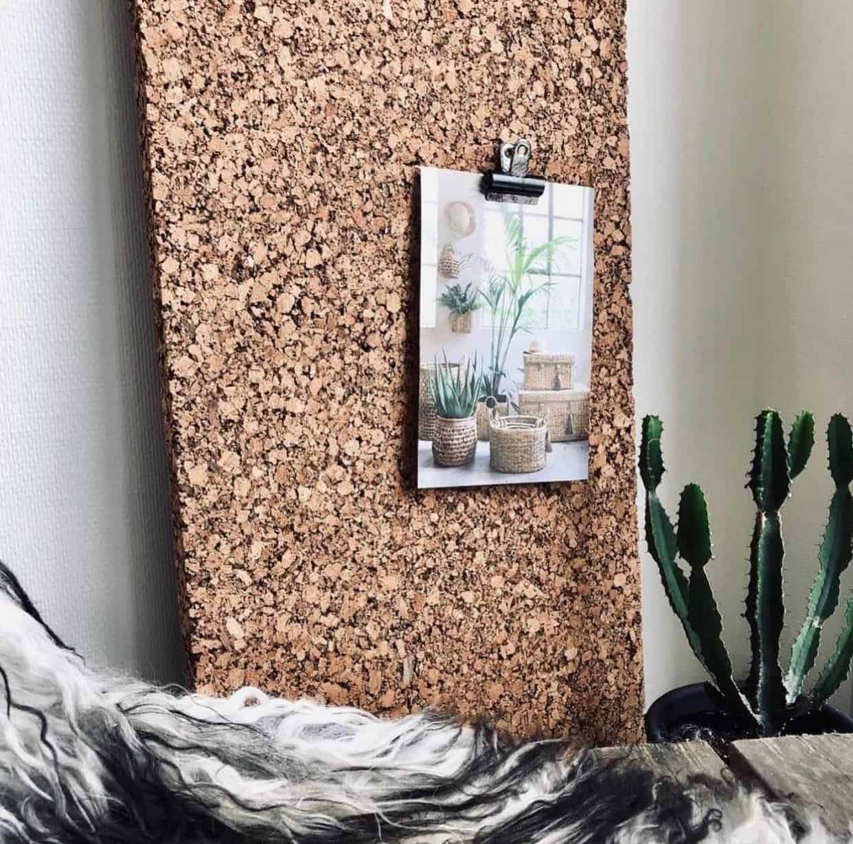 Miniatyrbild 7