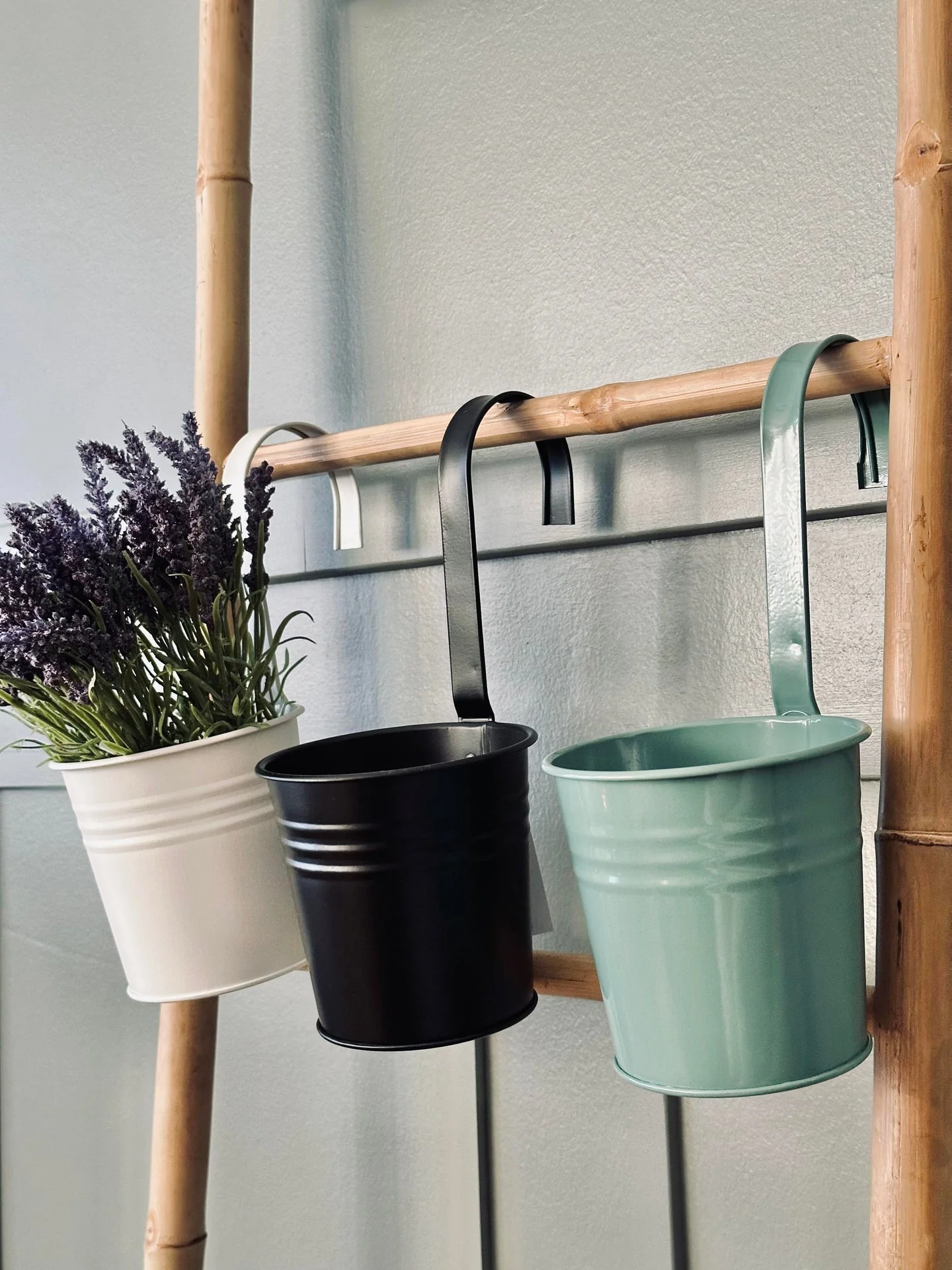 Miniatyrbild 3