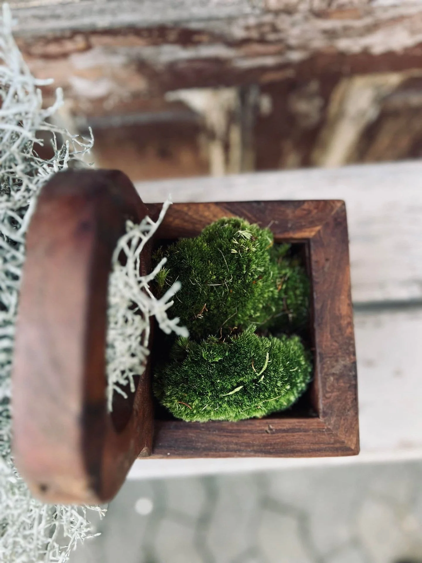 Miniatyrbild 2