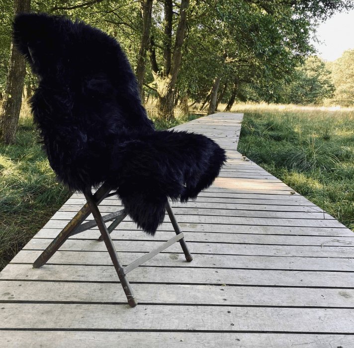 Miniatyrbild 2