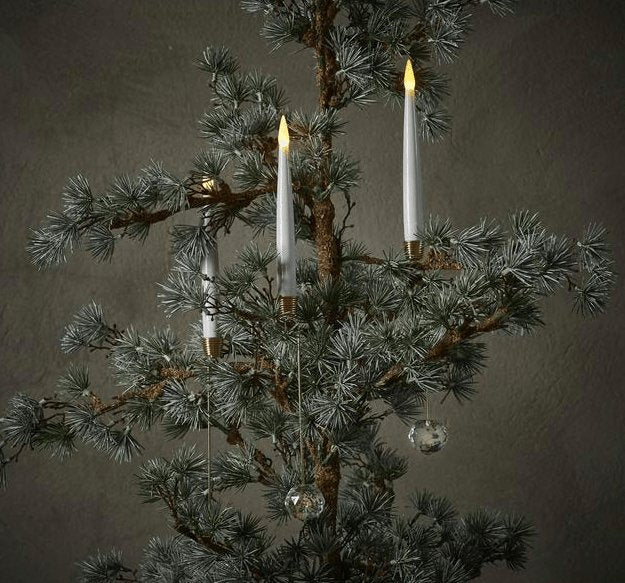 Miniatyrbild 1