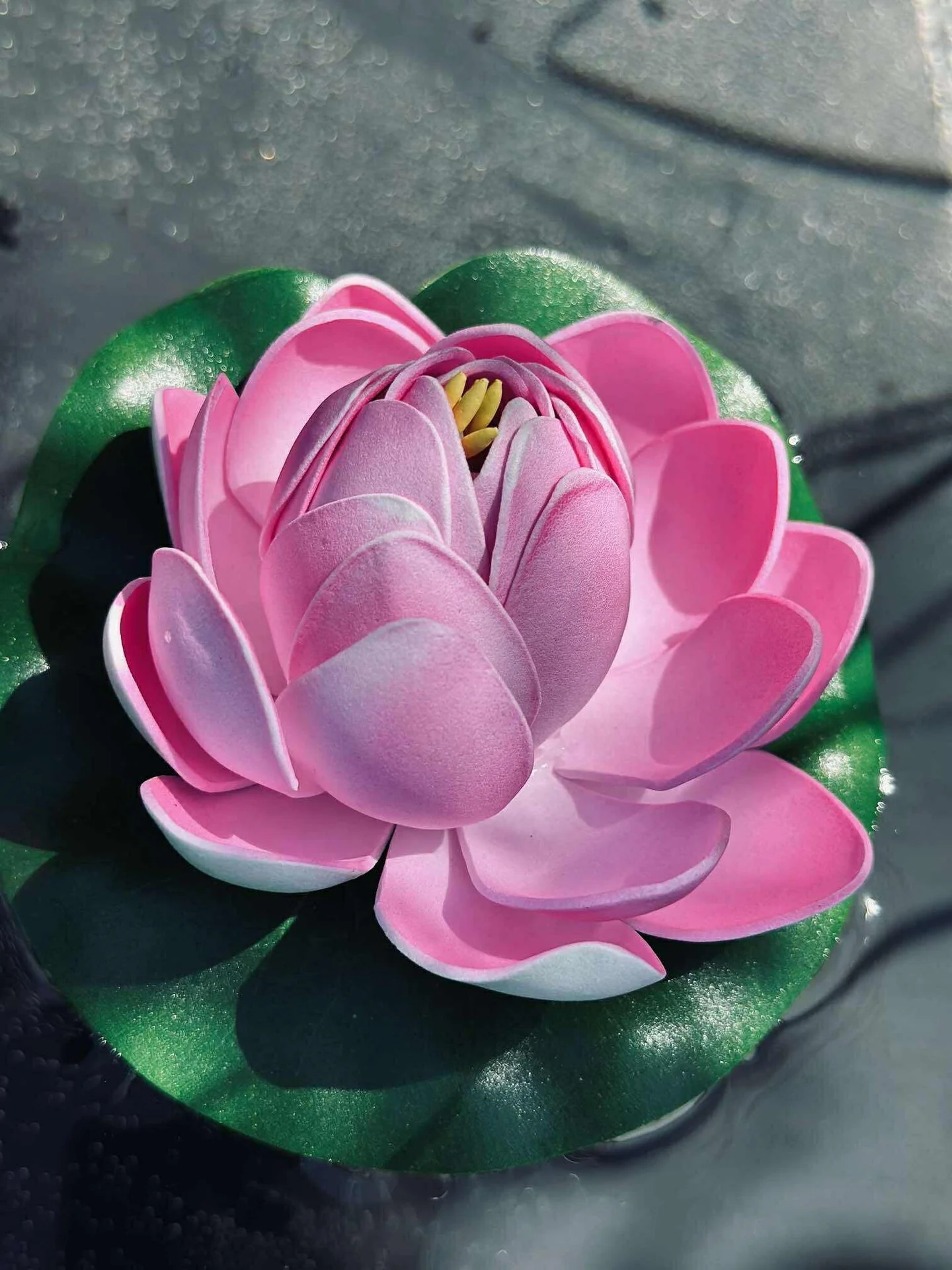 Miniatyrbild 2