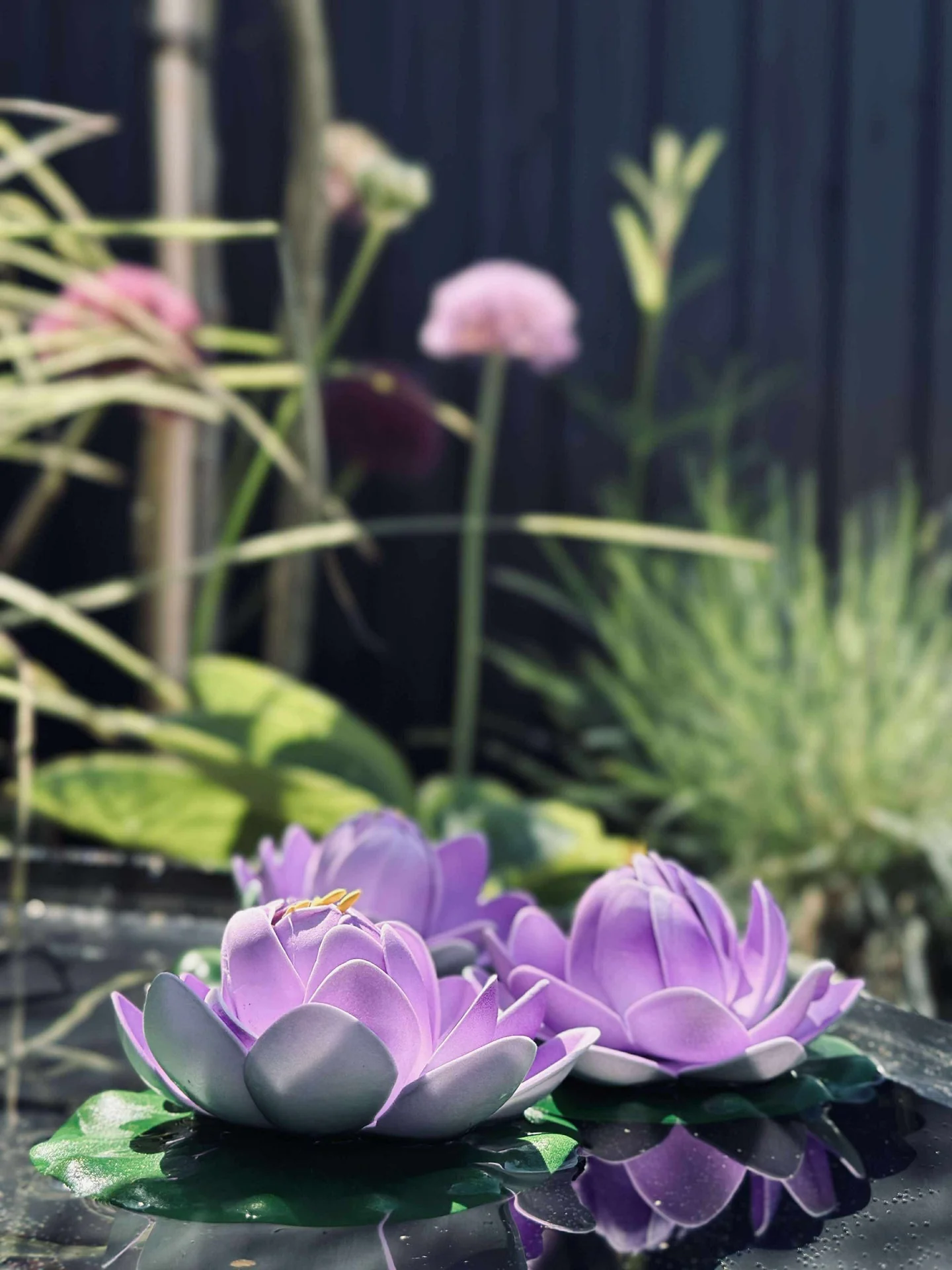 Miniatyrbild 6