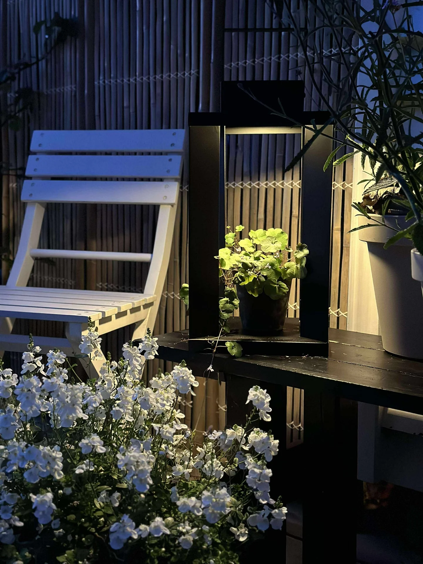 Miniatyrbild 3