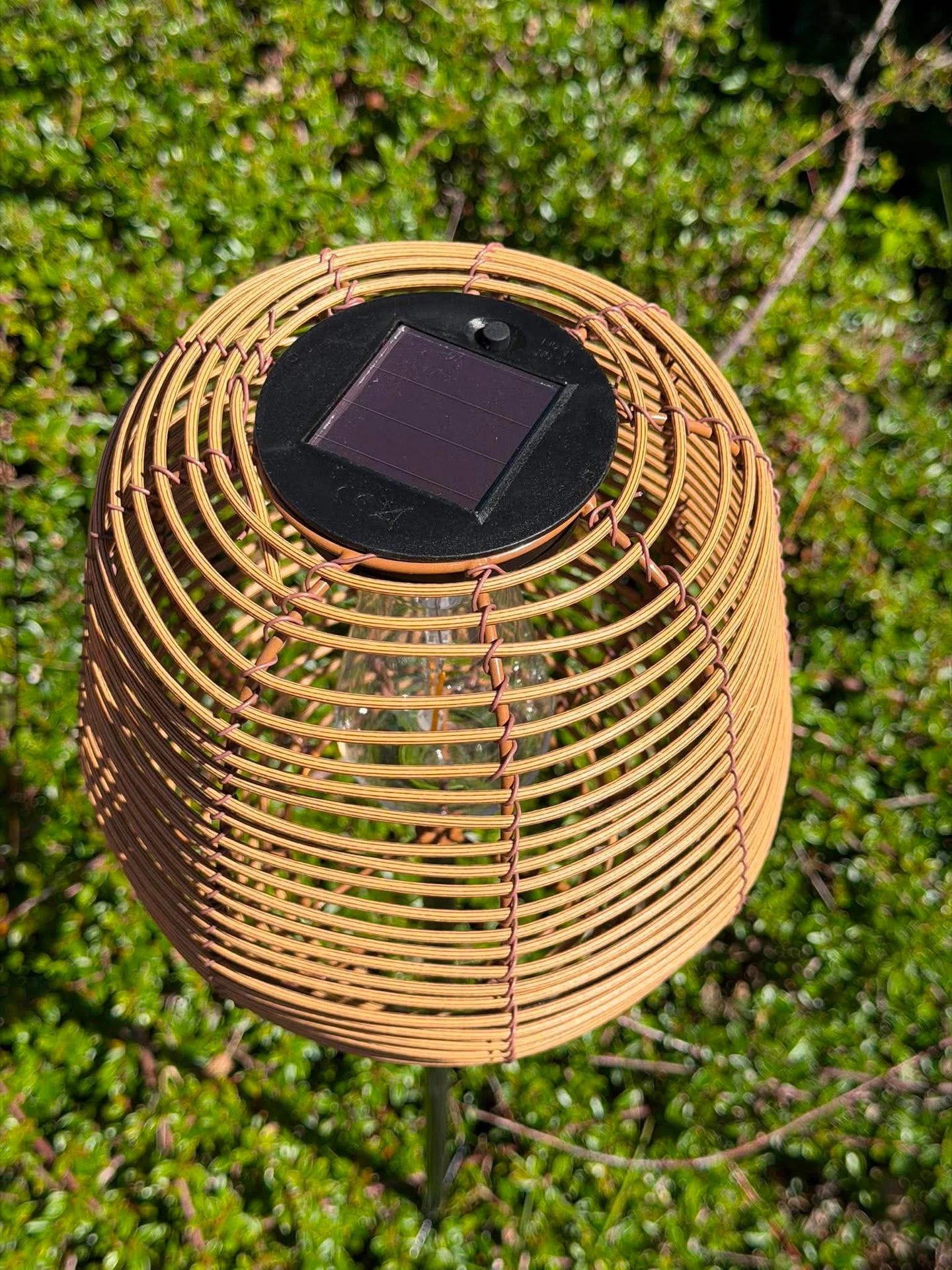 Miniatyrbild 4