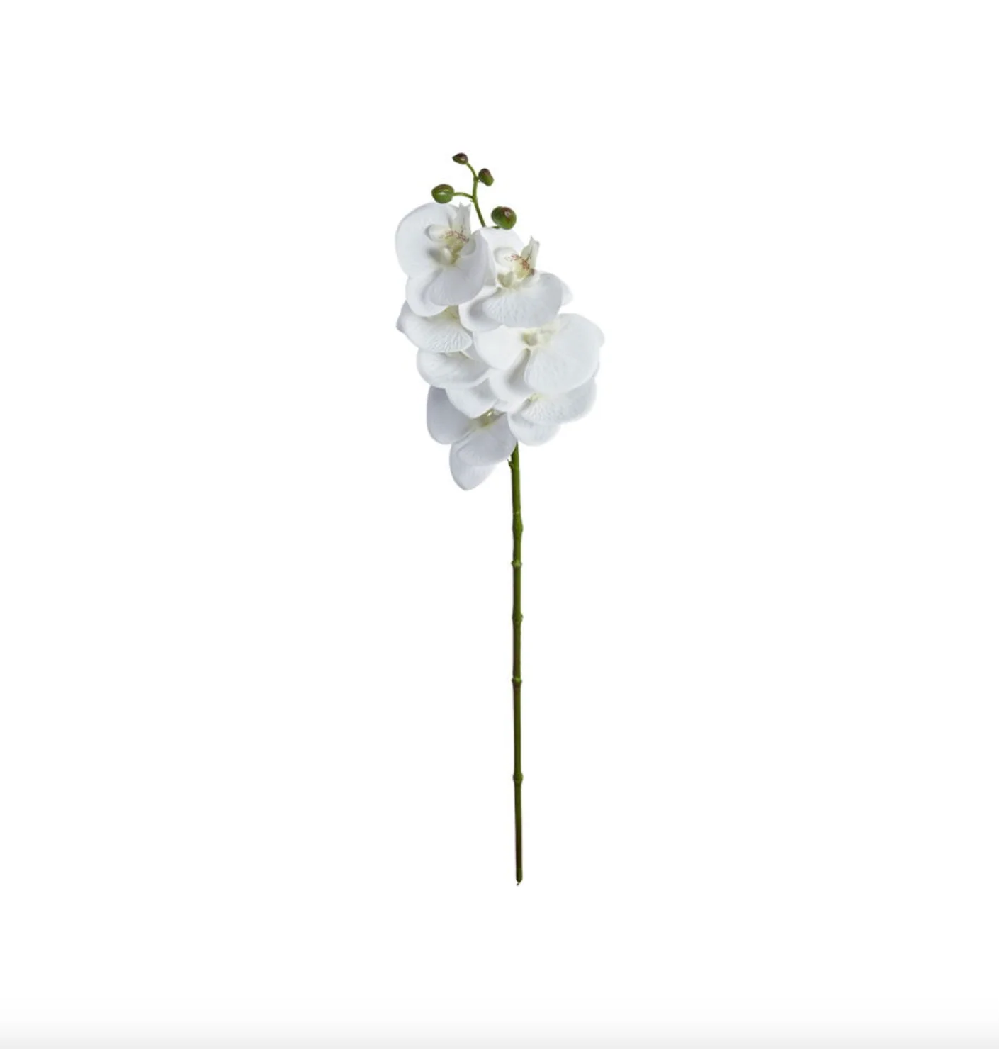 Miniatyrbild 10