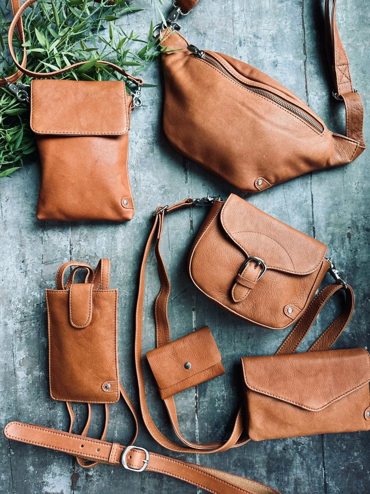 Miniatyrbild 7