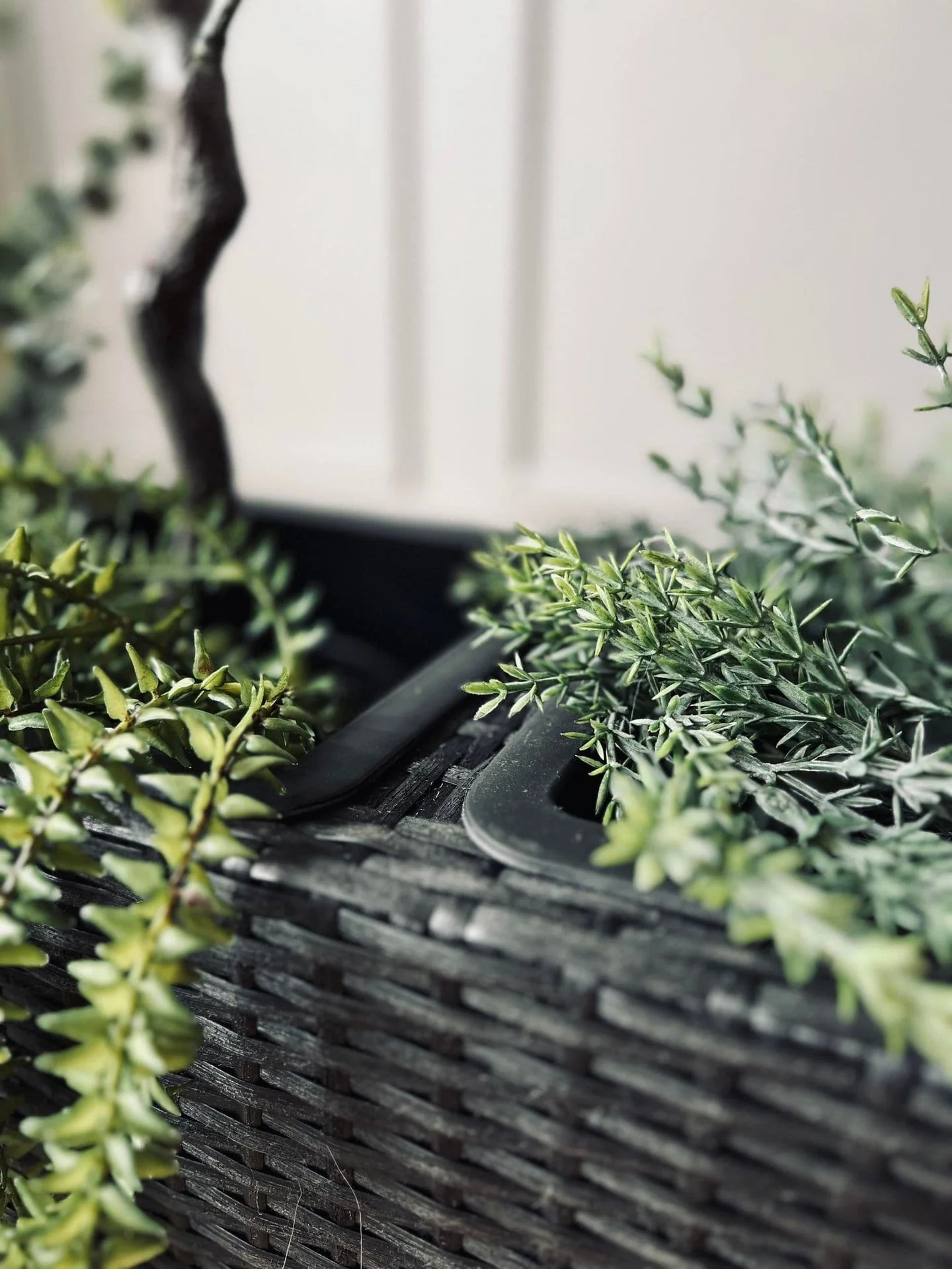 Miniatyrbild 2