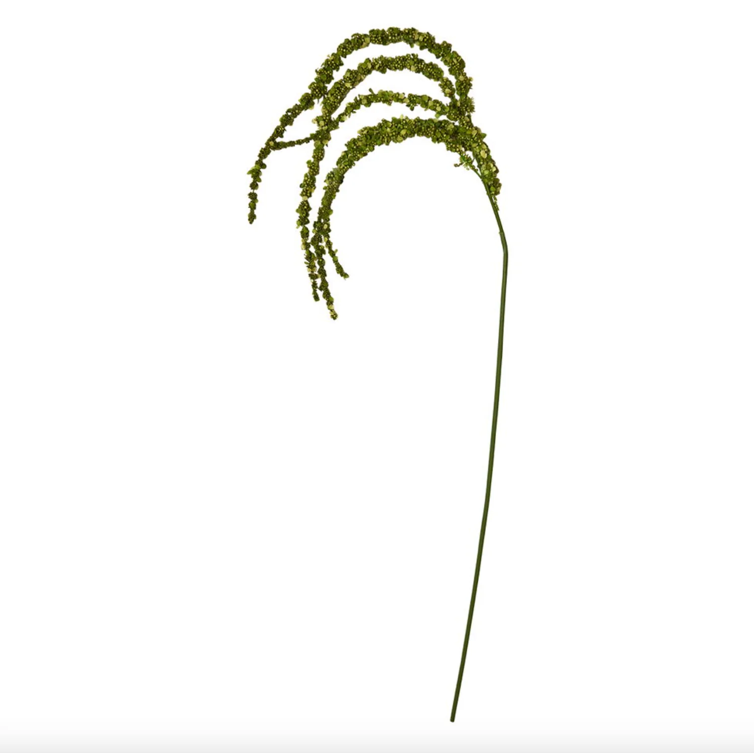 Miniatyrbild 7