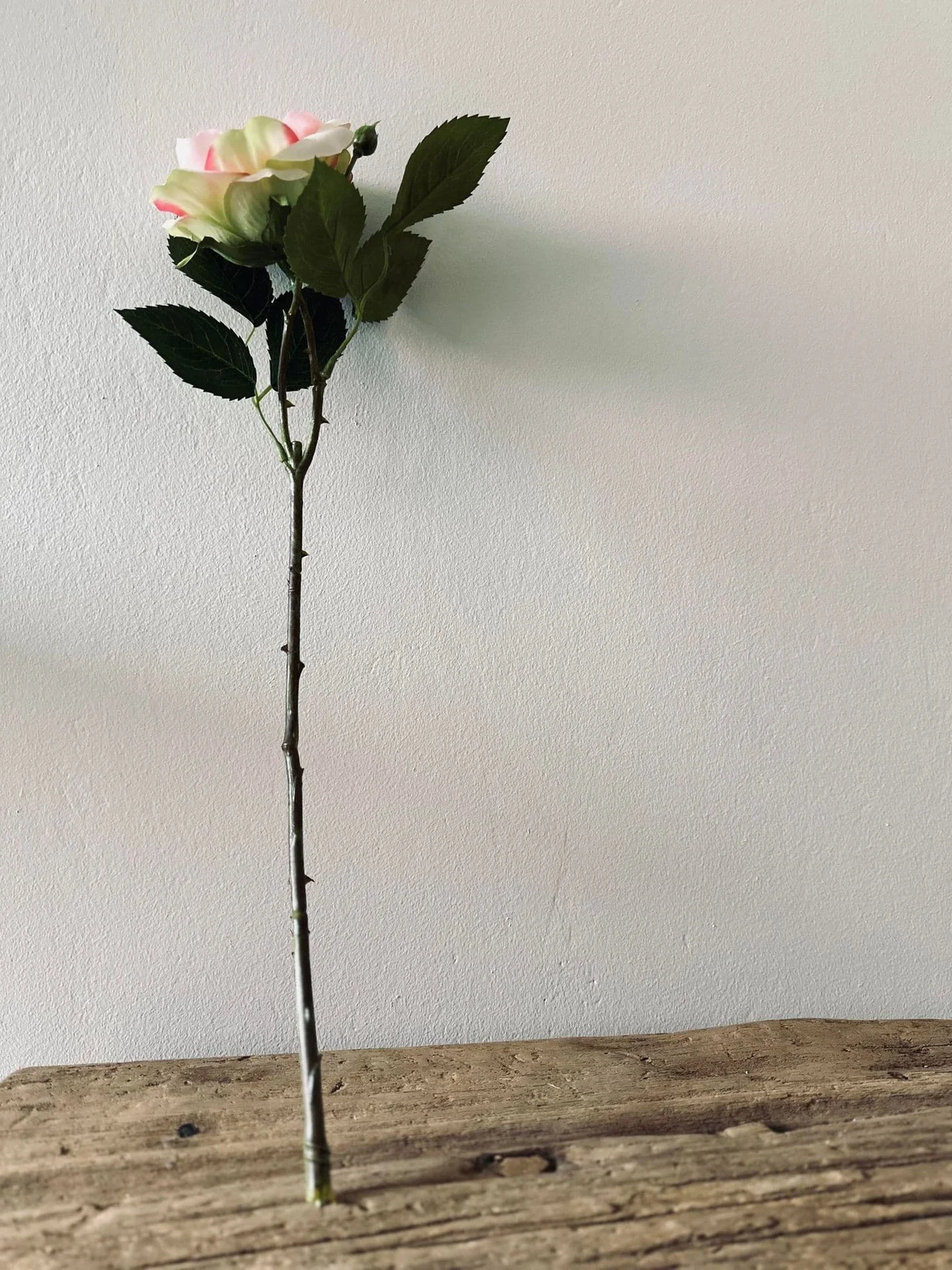 Miniatyrbild 4