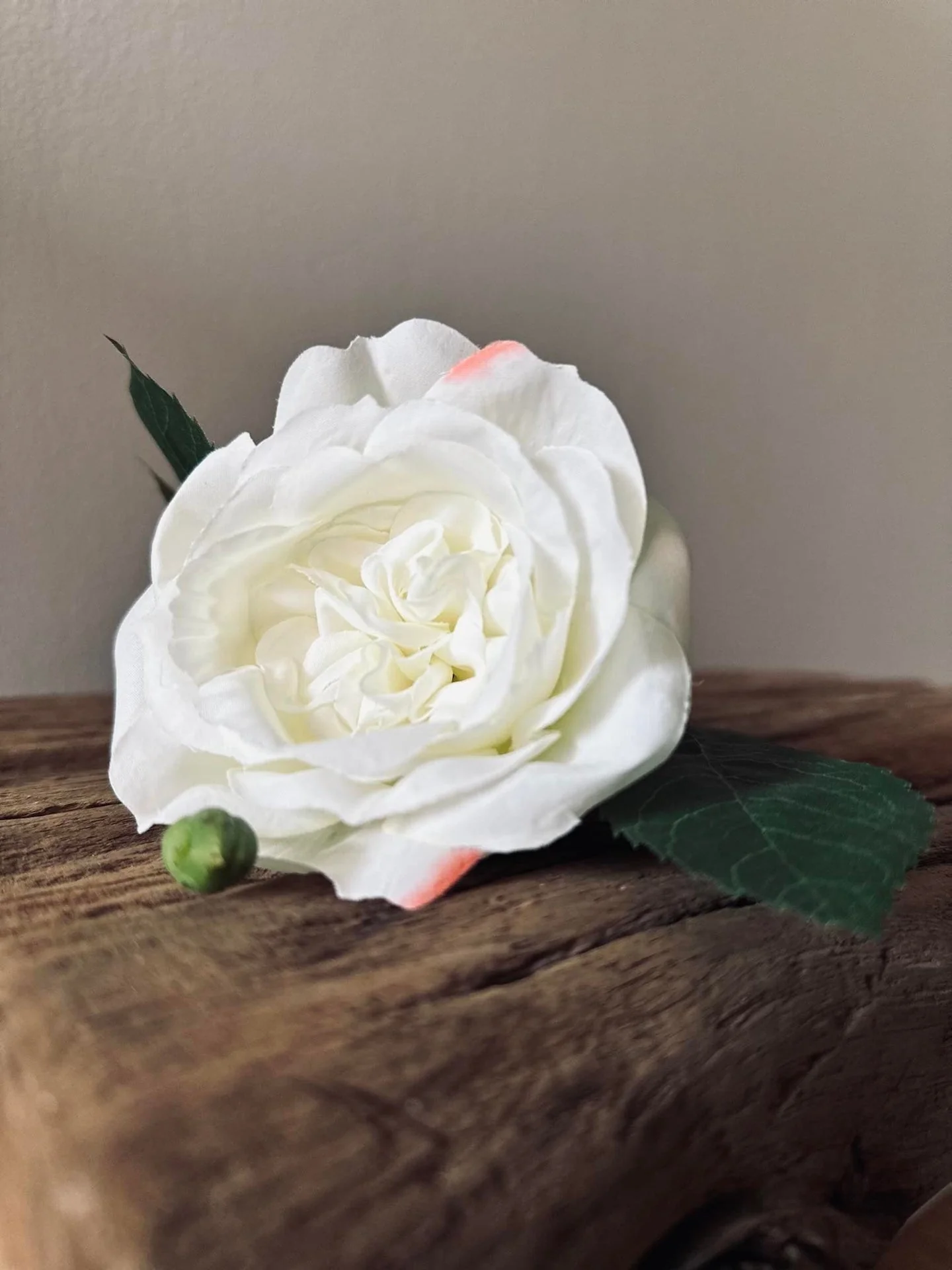 Miniatyrbild 4