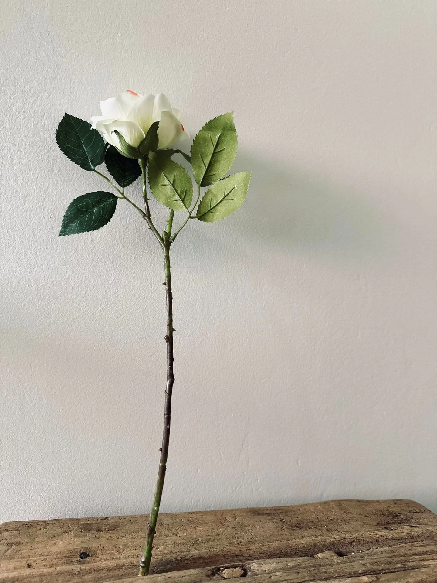 Miniatyrbild 5