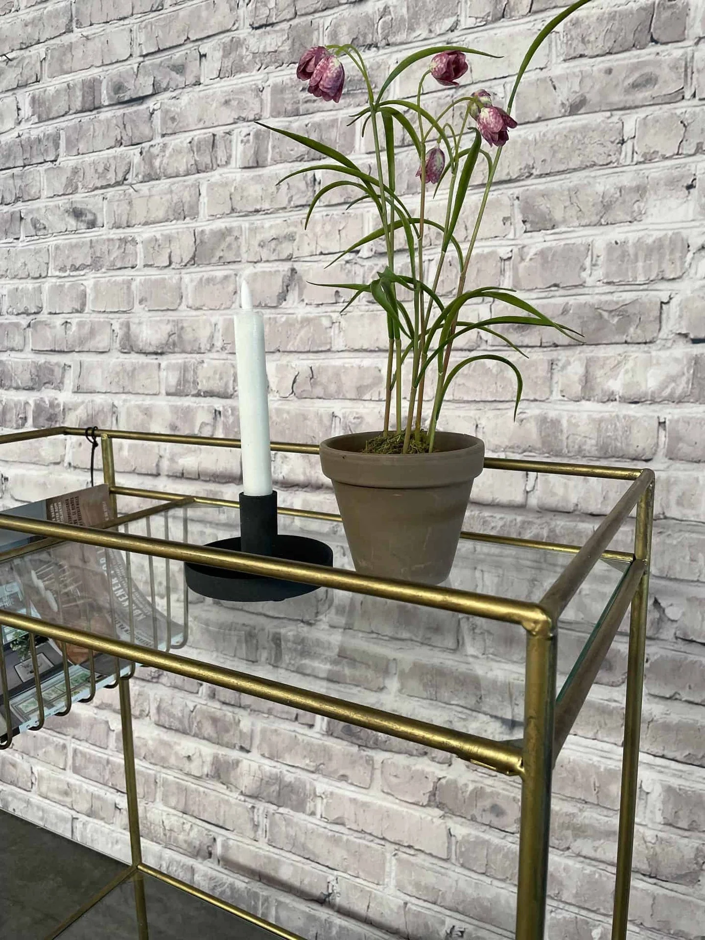 Miniatyrbild 4