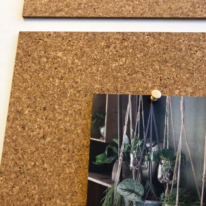 Miniatyrbild 2