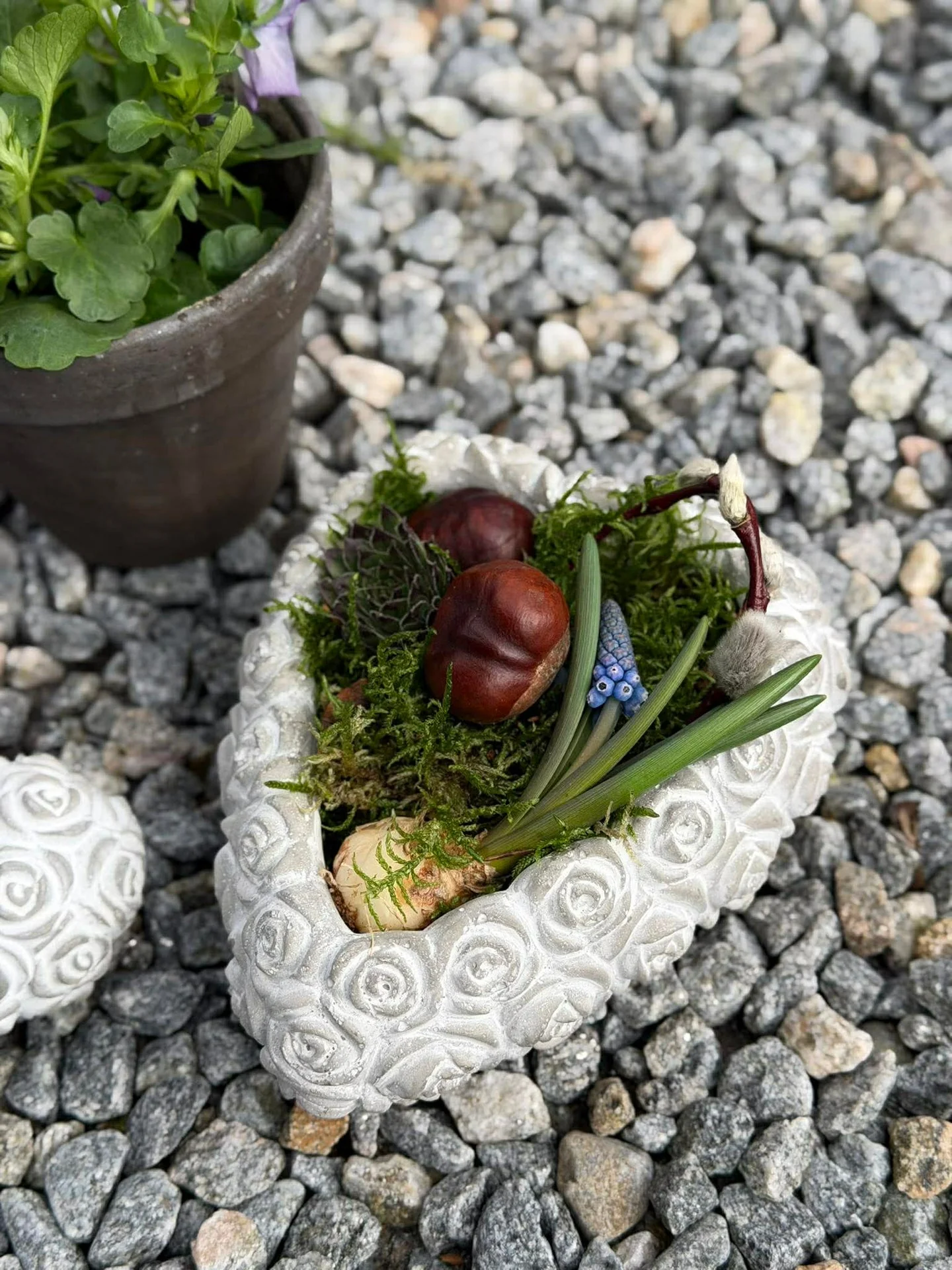 Miniatyrbild 3