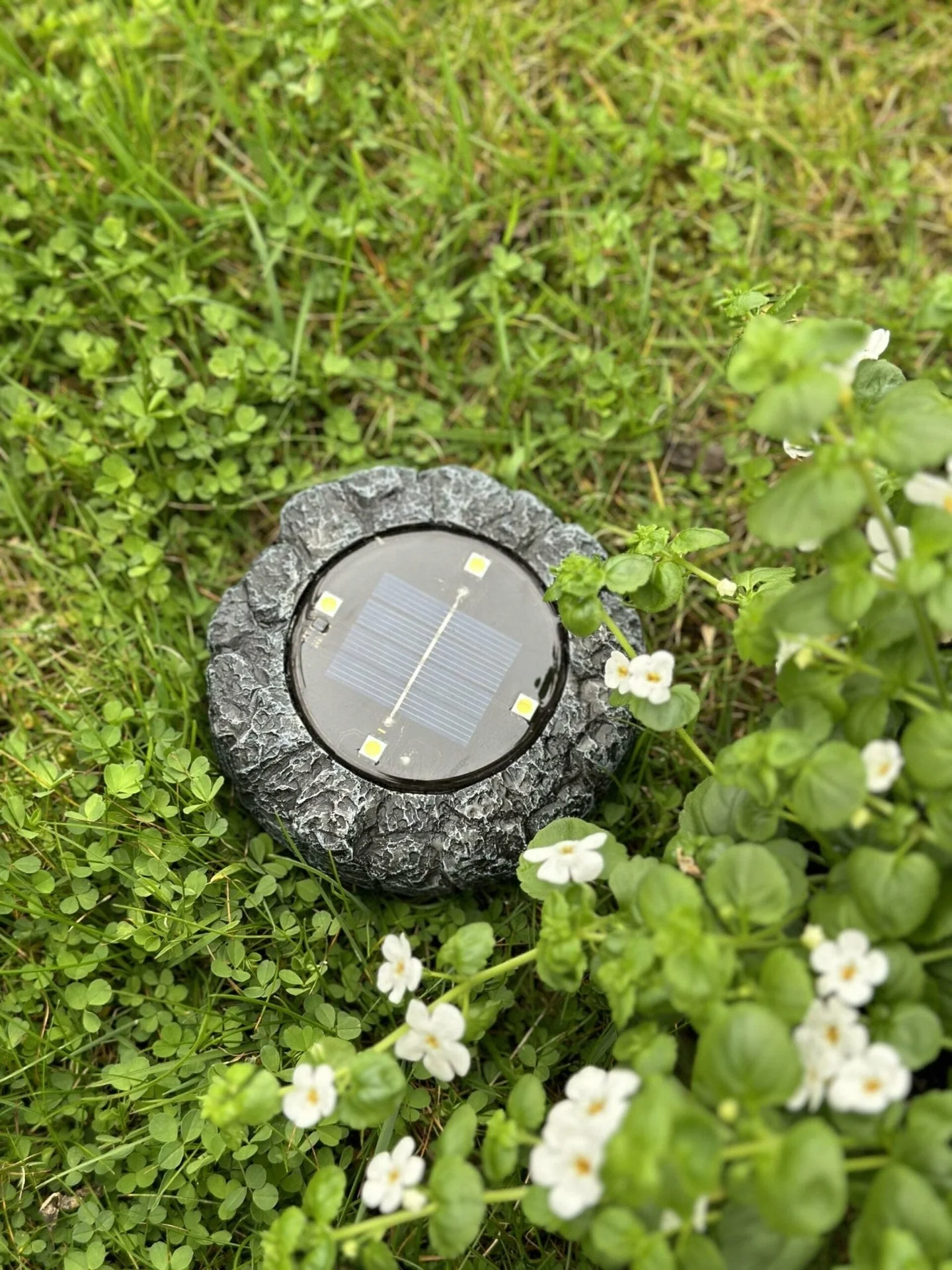 Miniatyrbild 2