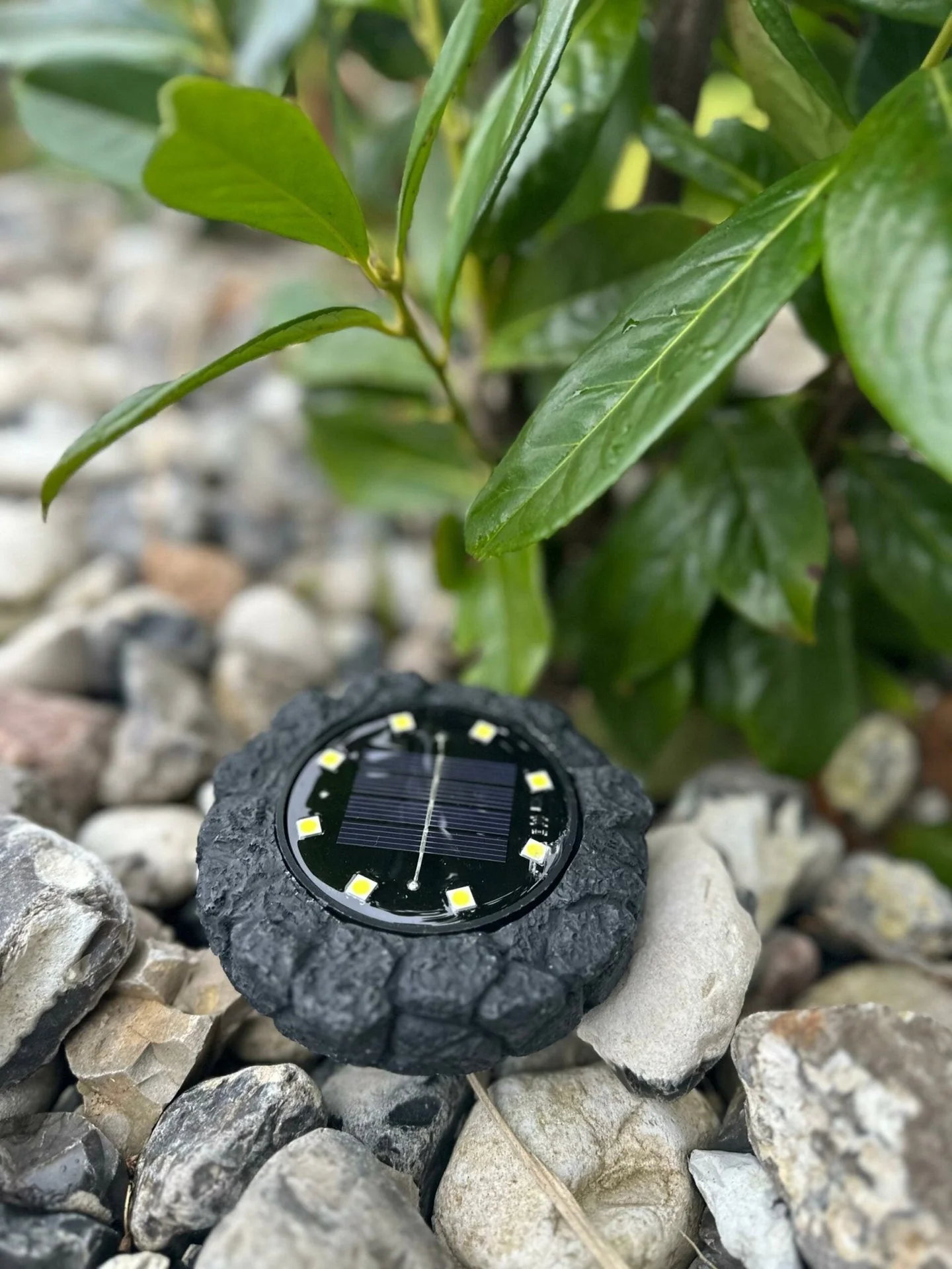 Miniatyrbild 6