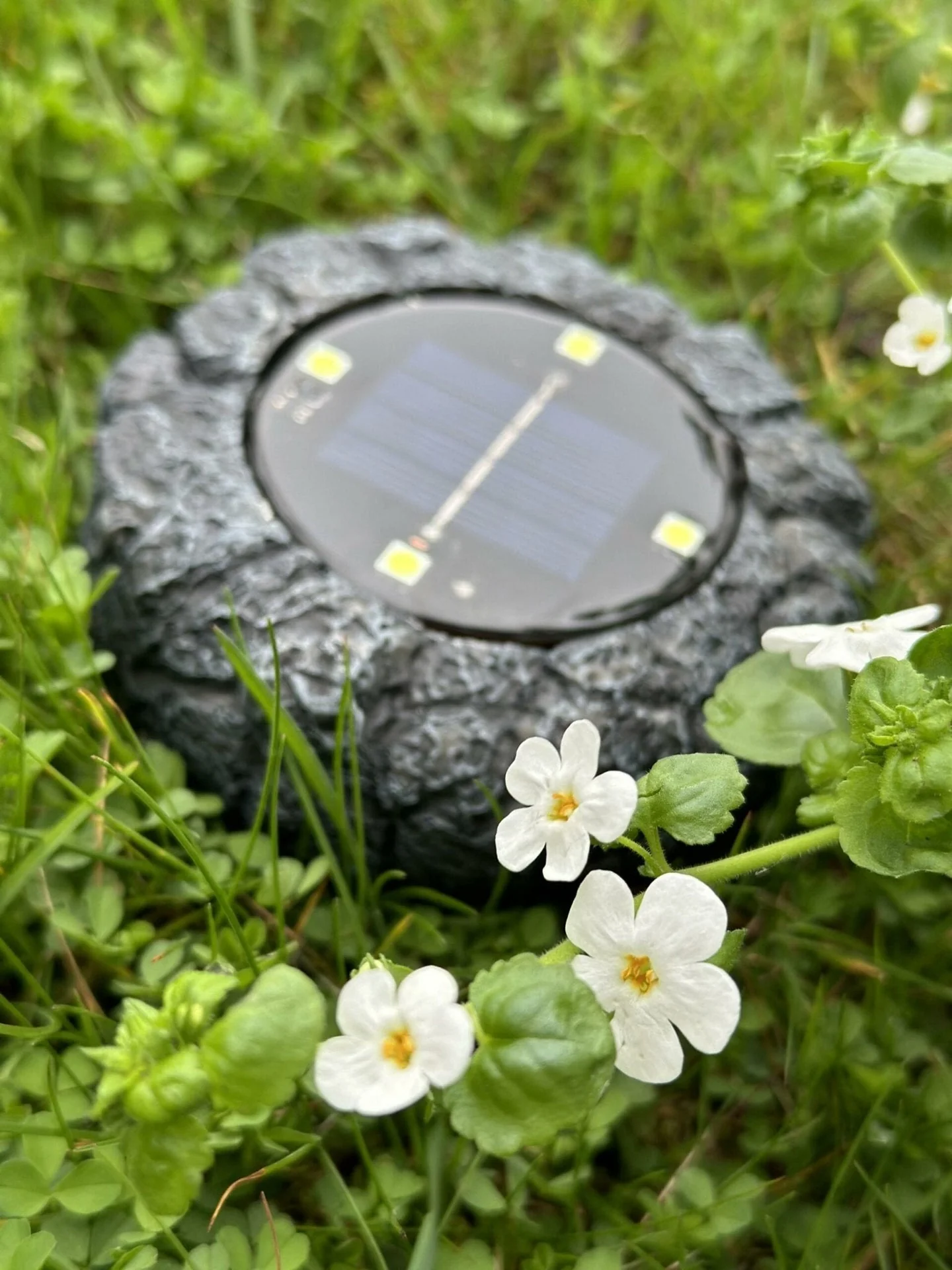 Miniatyrbild 3