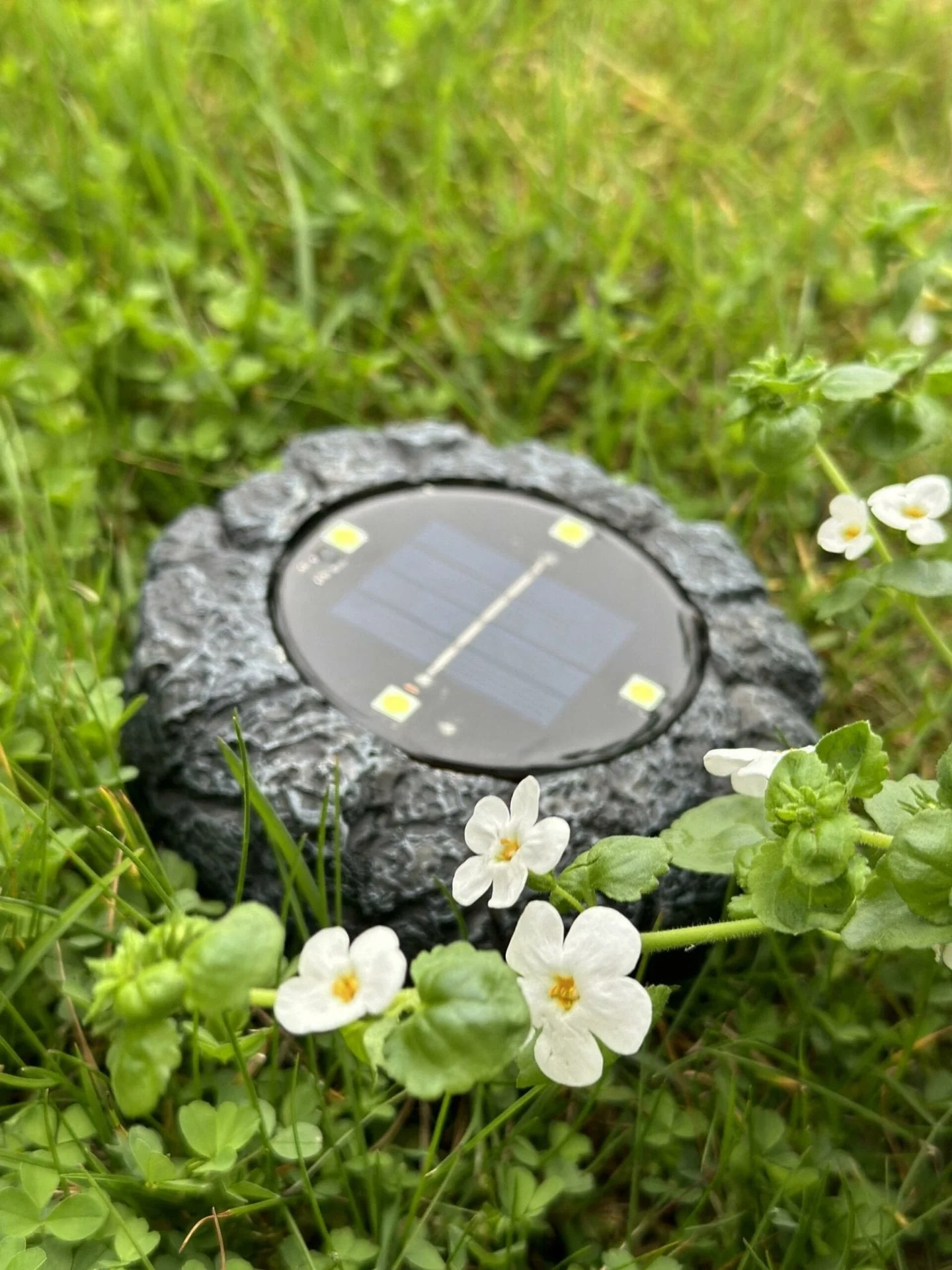 Miniatyrbild 4