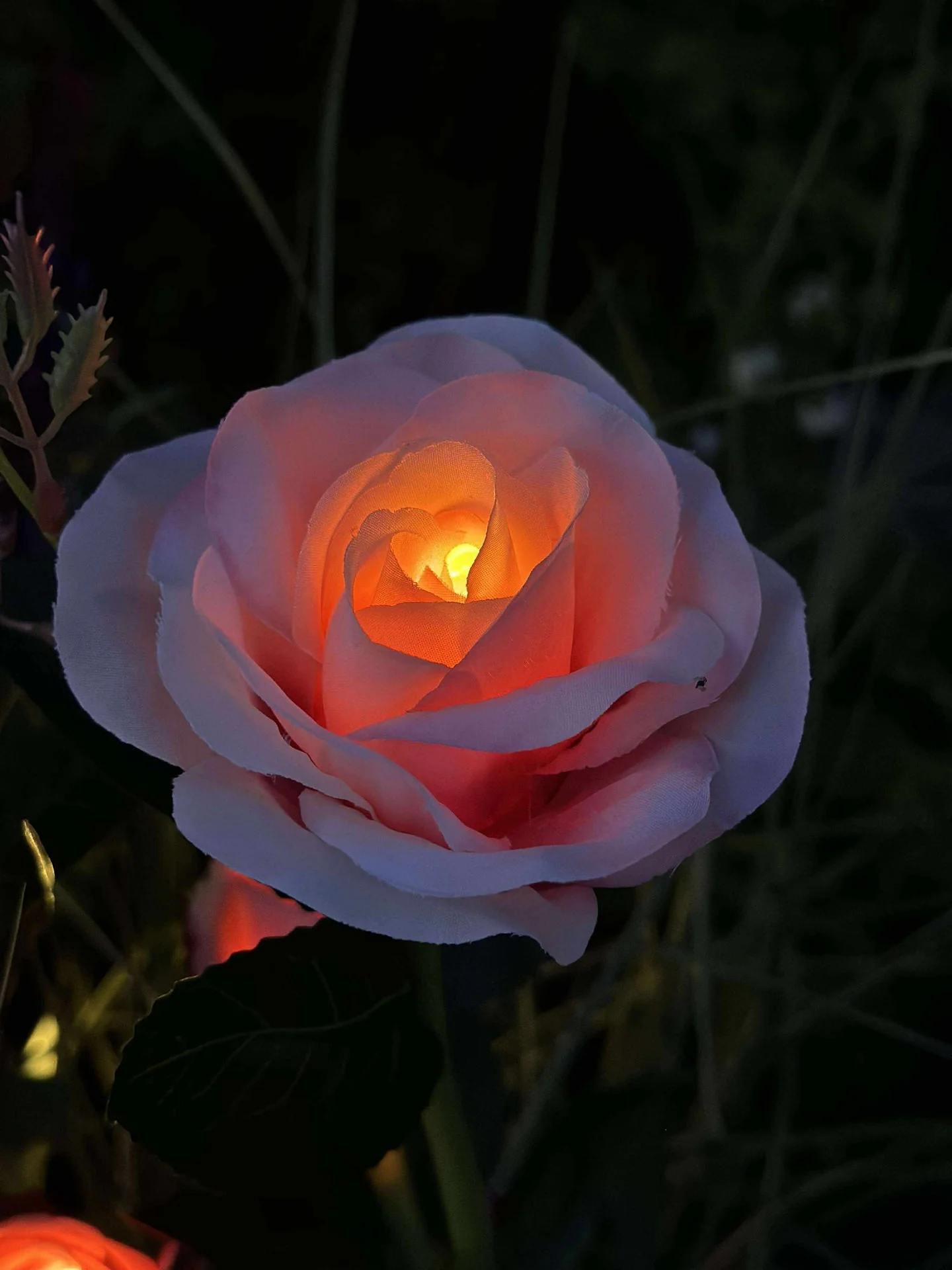 Miniatyrbild 7