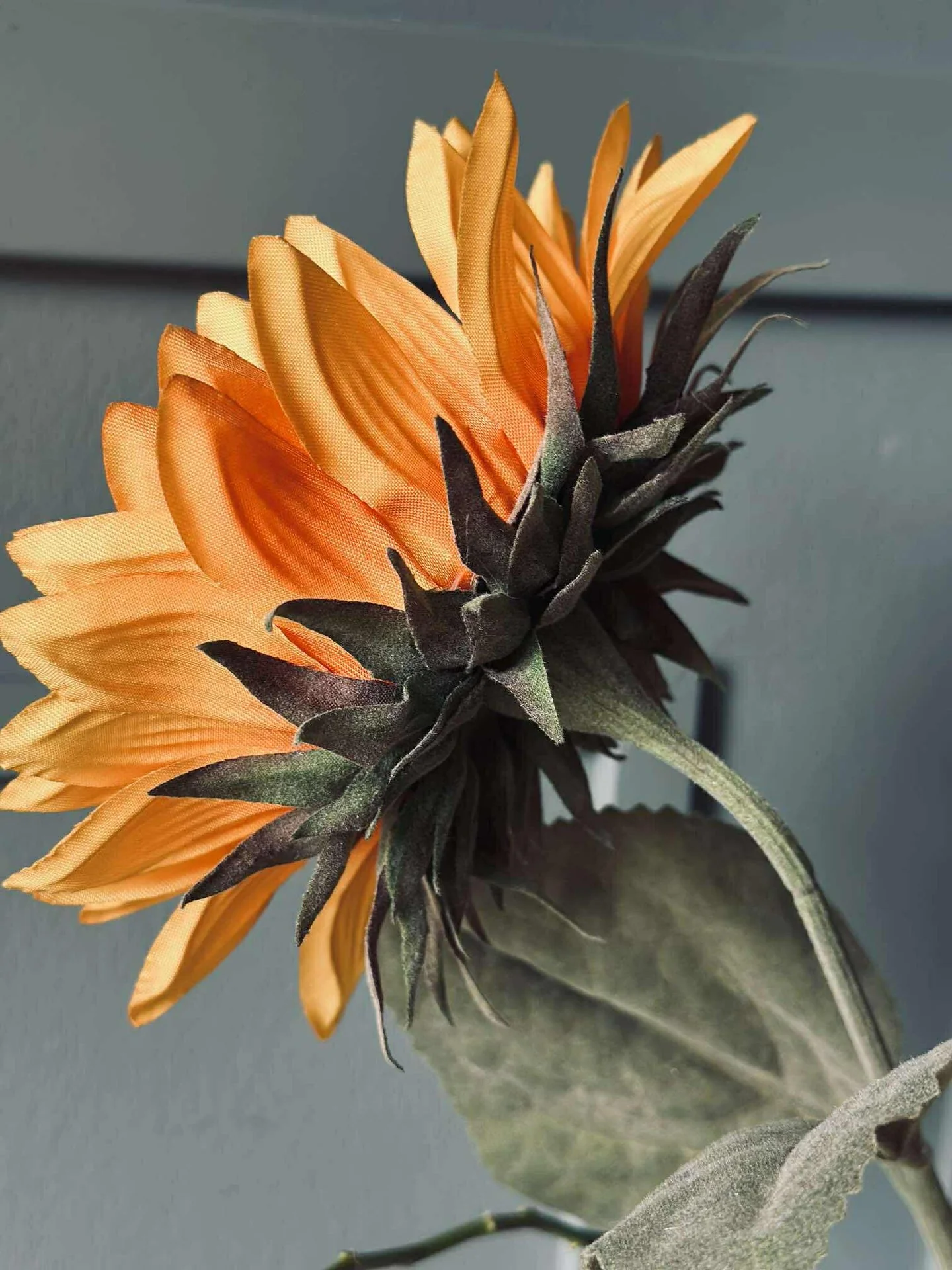 Miniatyrbild 5