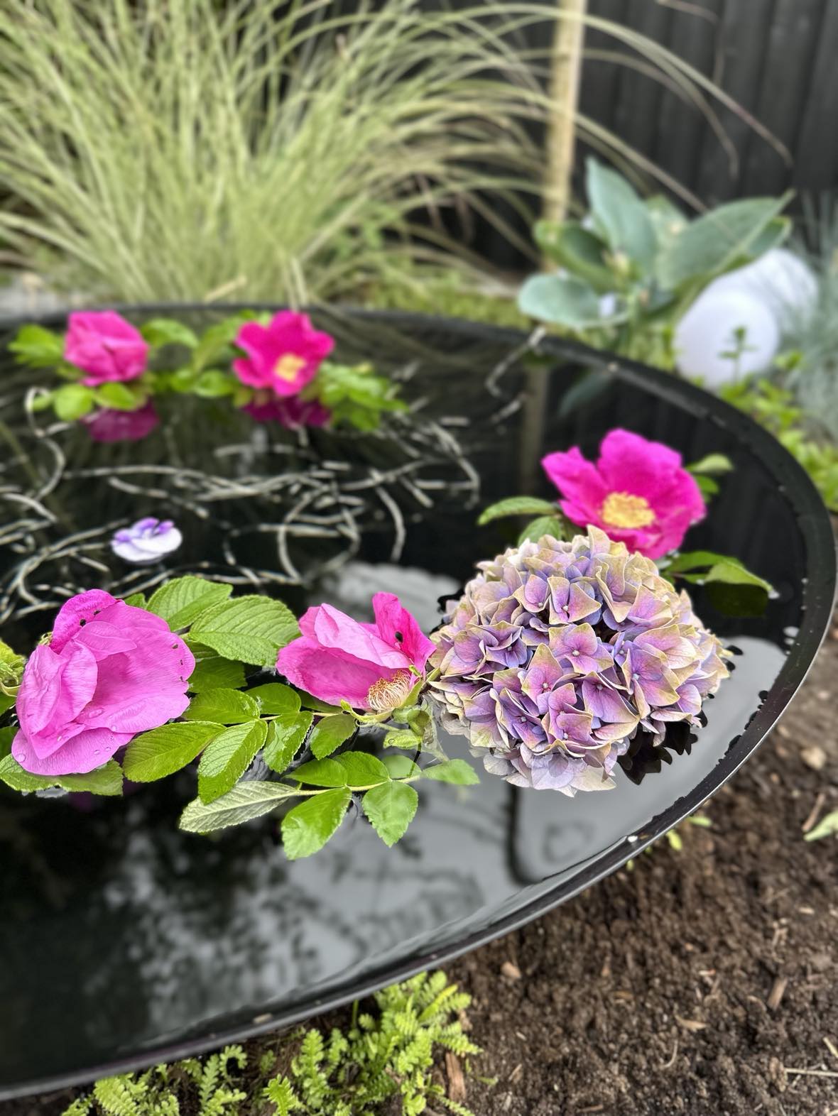 Miniatyrbild 5