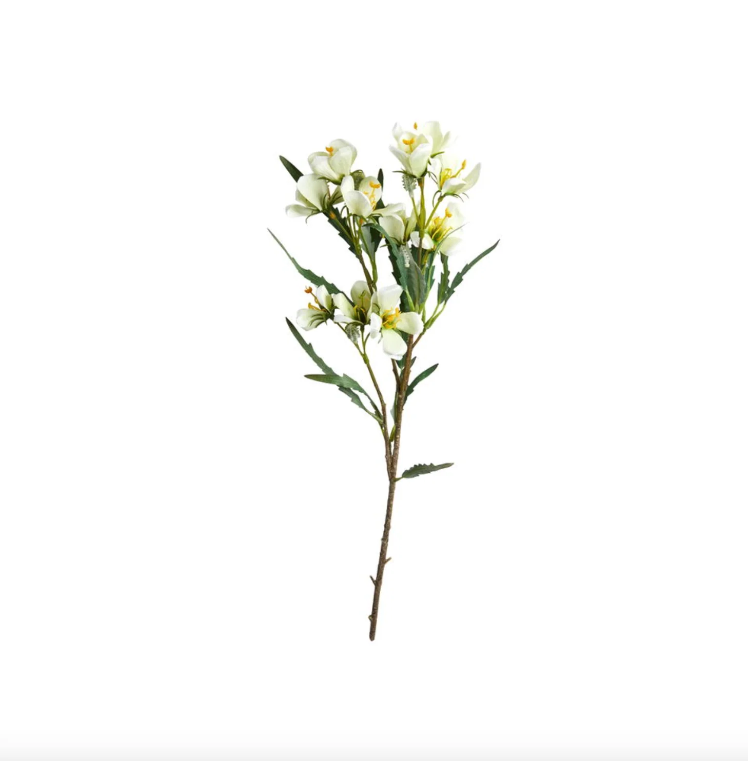 Miniatyrbild 8