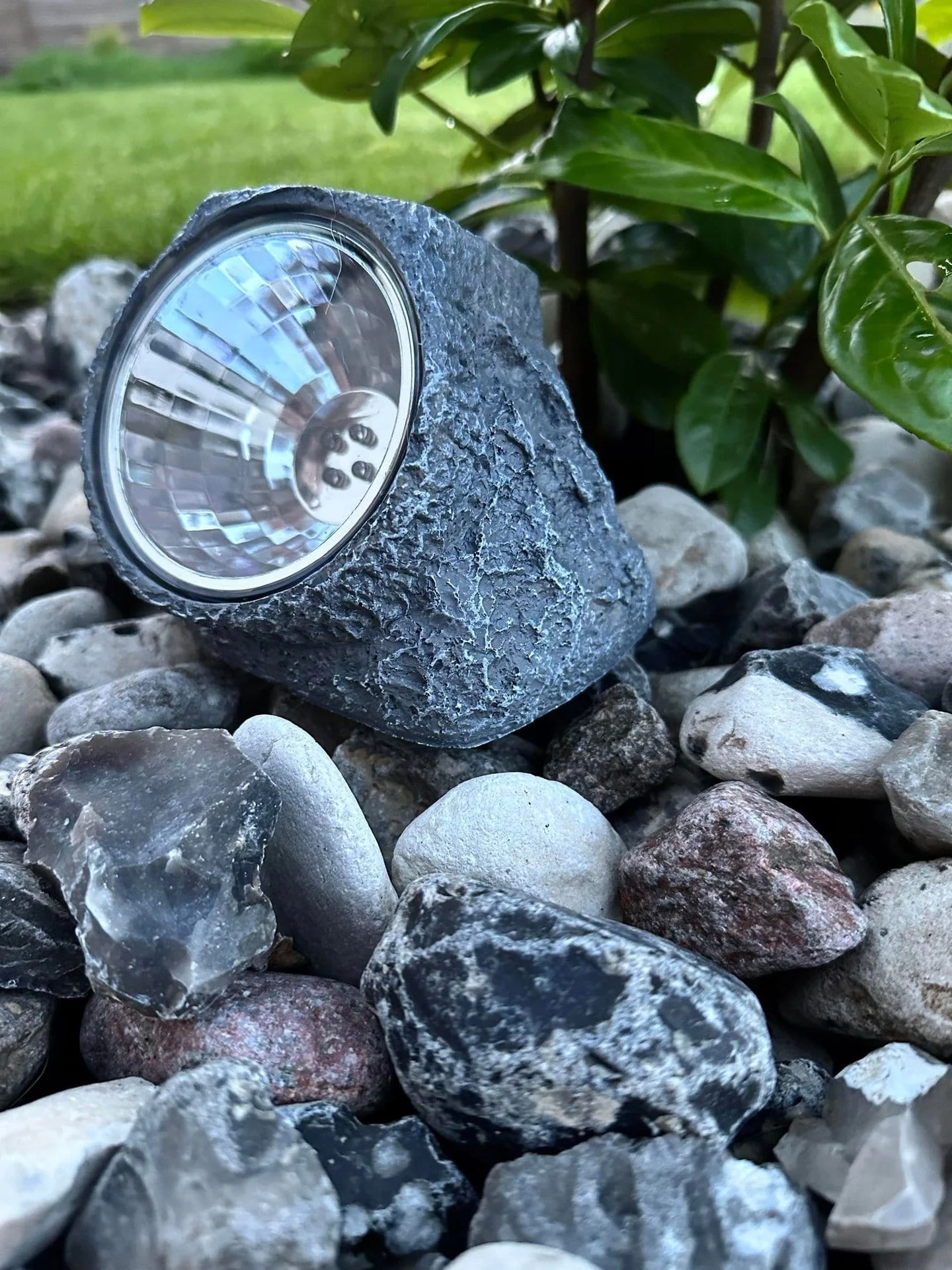 Miniatyrbild 2